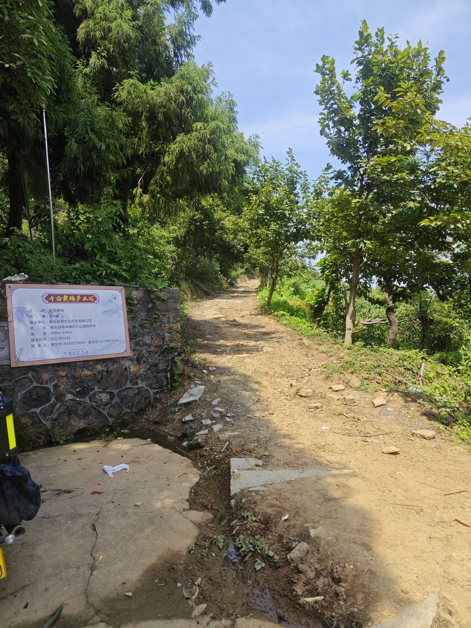 衡东四方山森林公园旅行图片 2