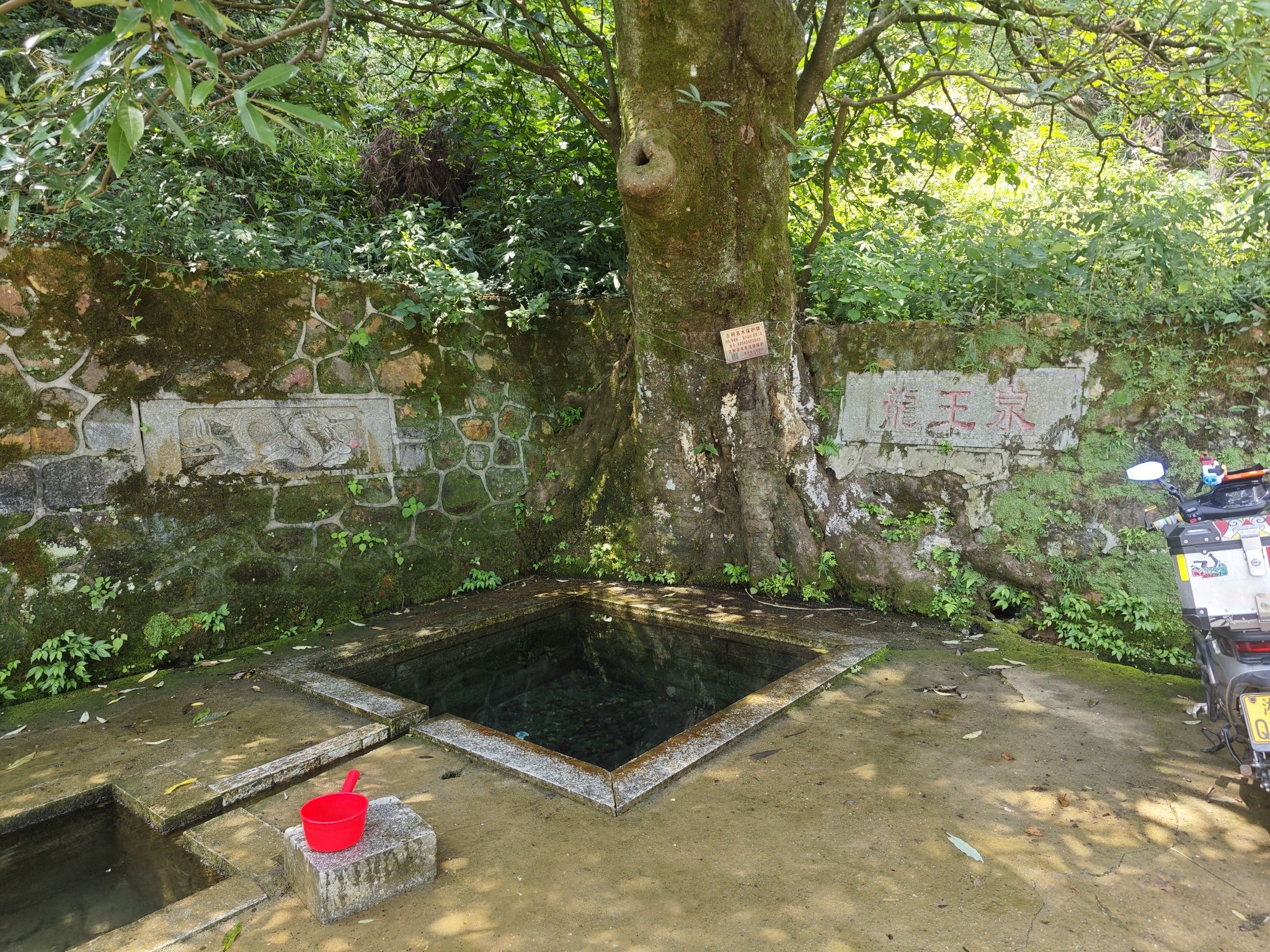 衡东四方山森林公园旅行图片 1