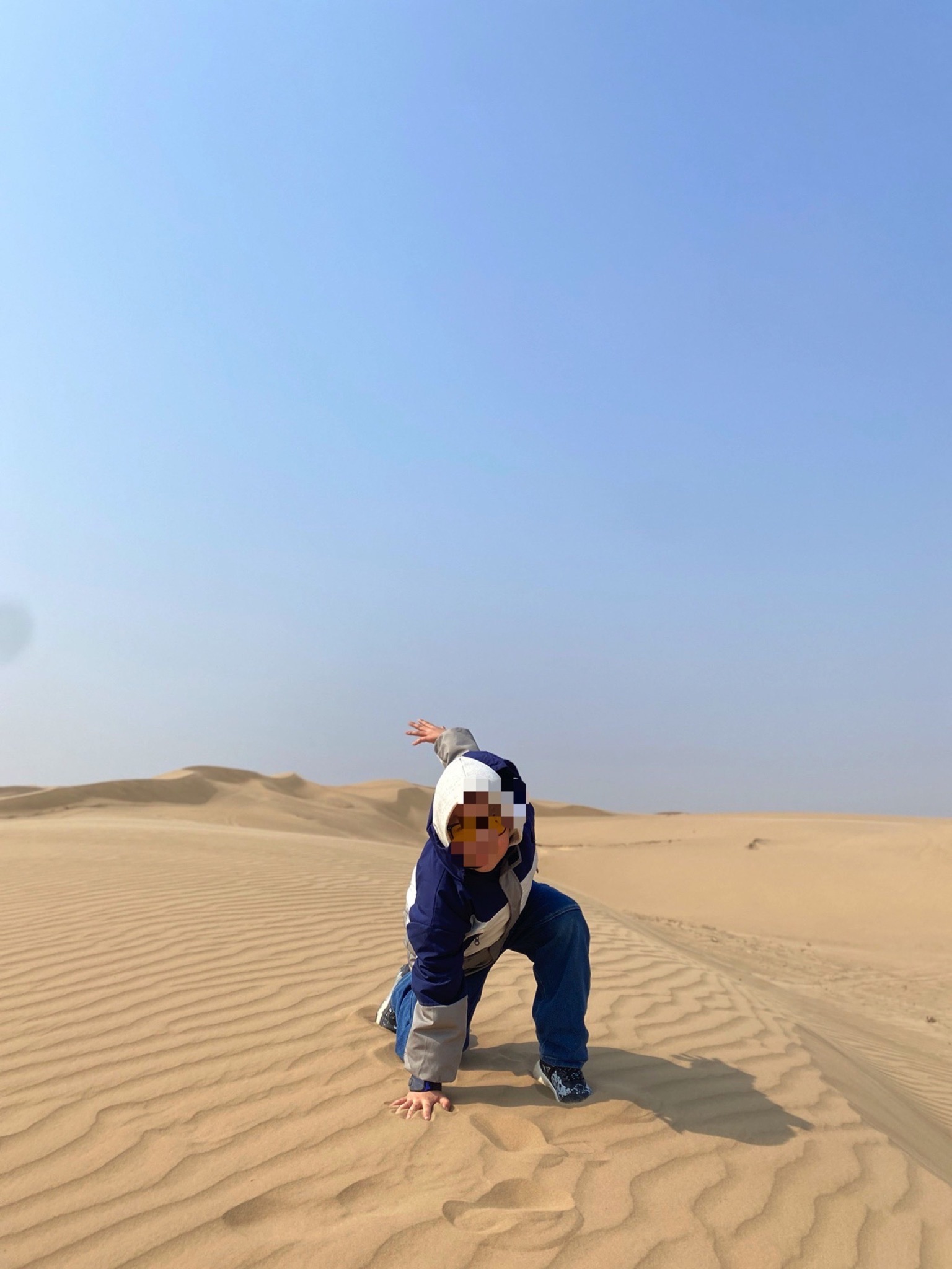 草甘沙漠风景旅游区(暂停开放)旅行图片 3