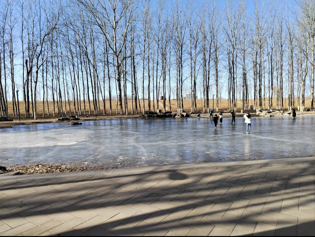 商务富锦公园旅行图片 3