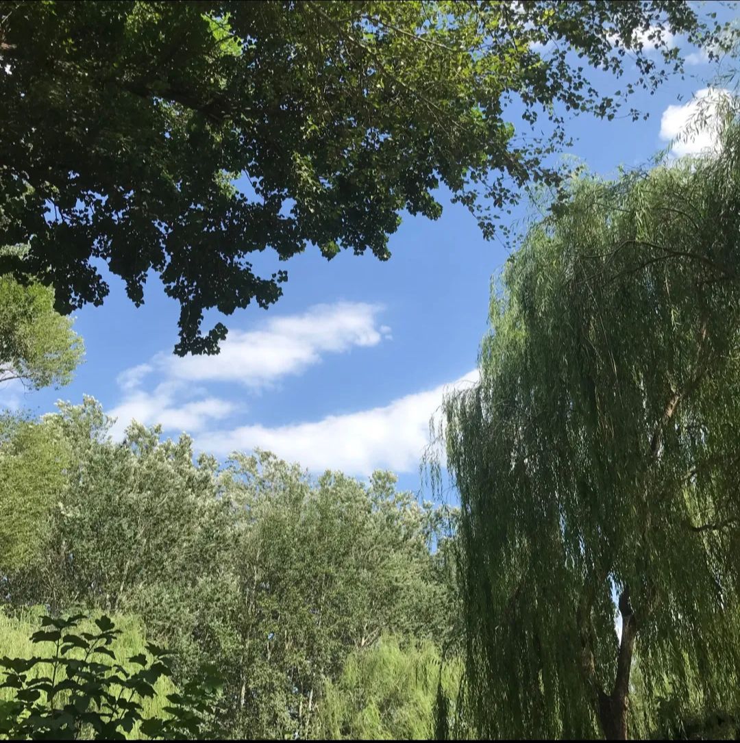 商务富锦公园旅行图片