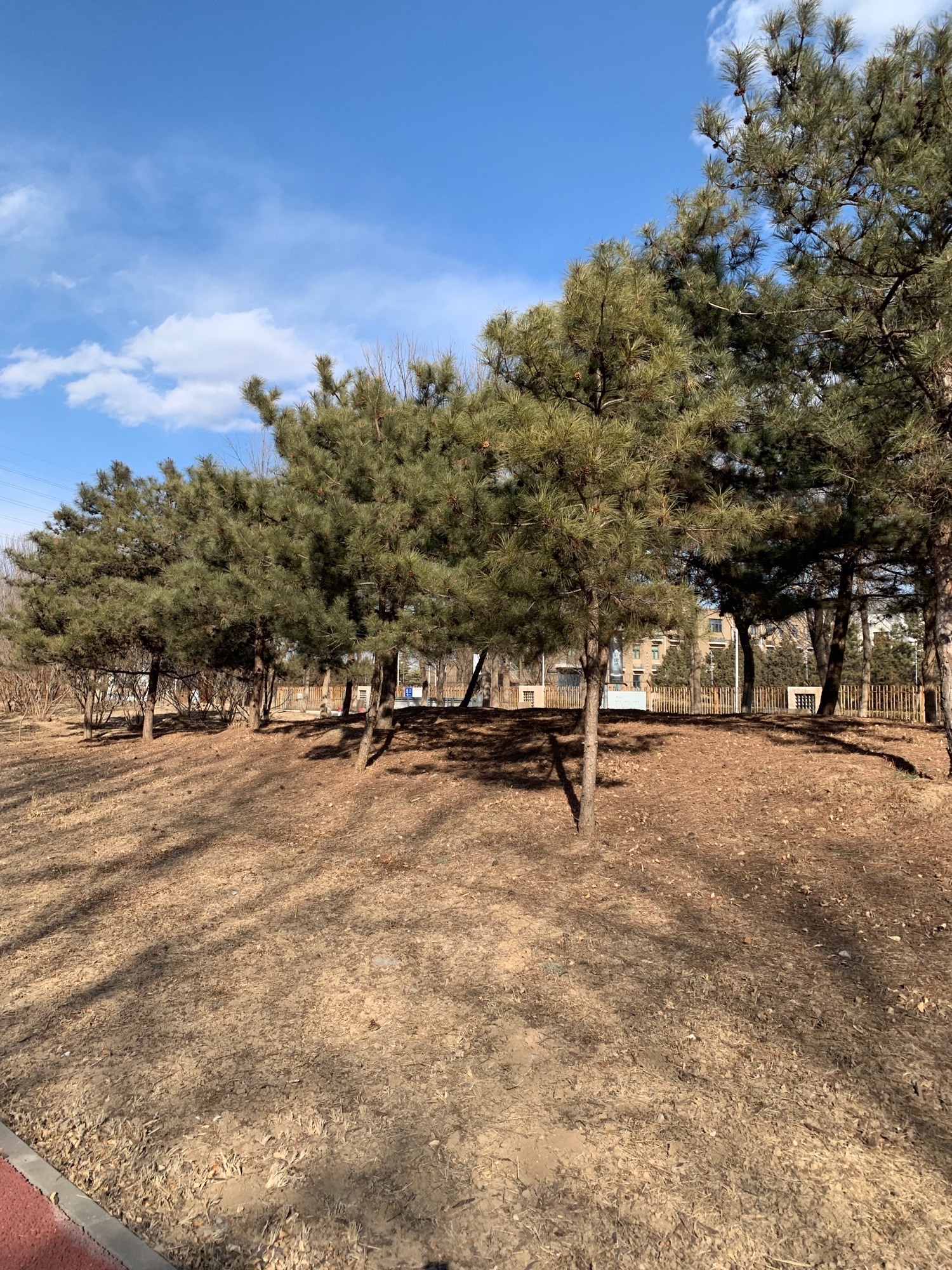 金福湿地公园旅行图片 1