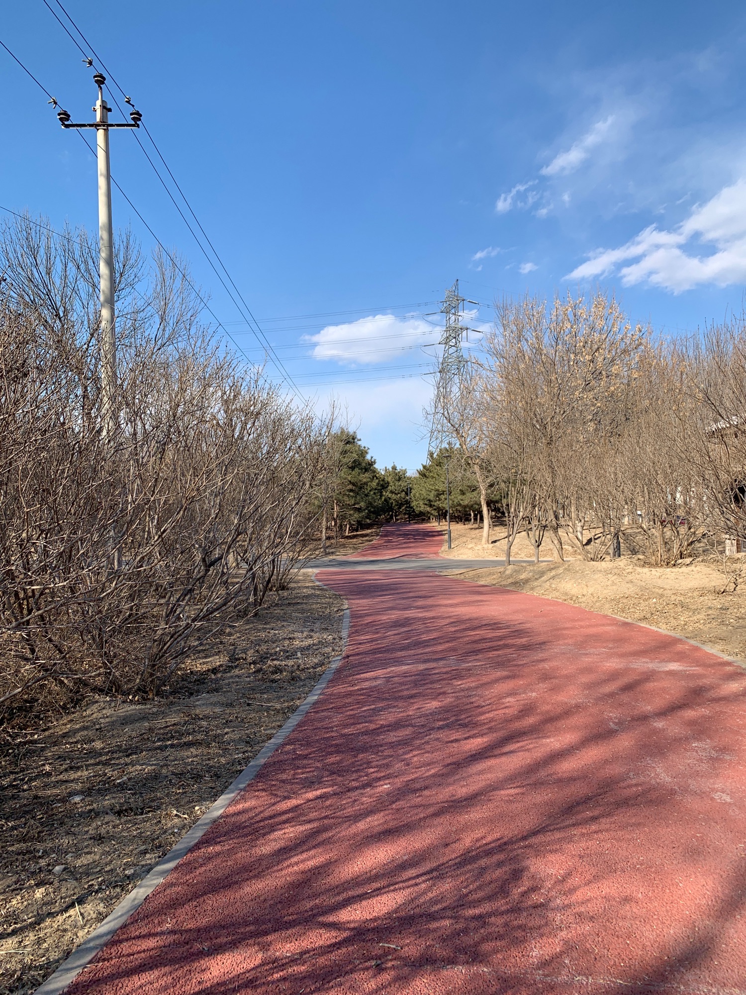 金福湿地公园旅行图片 2