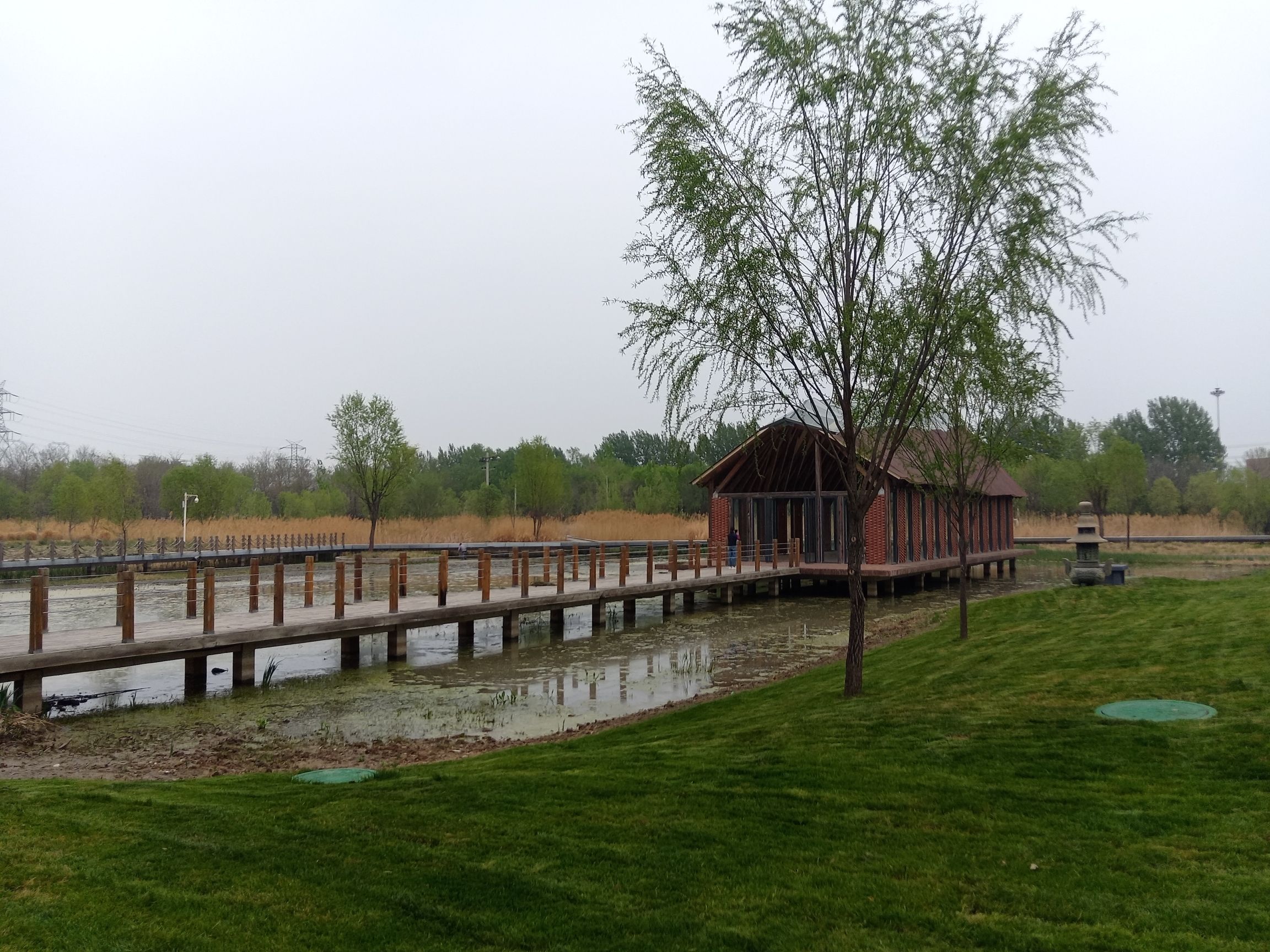 金福湿地公园旅行图片 2
