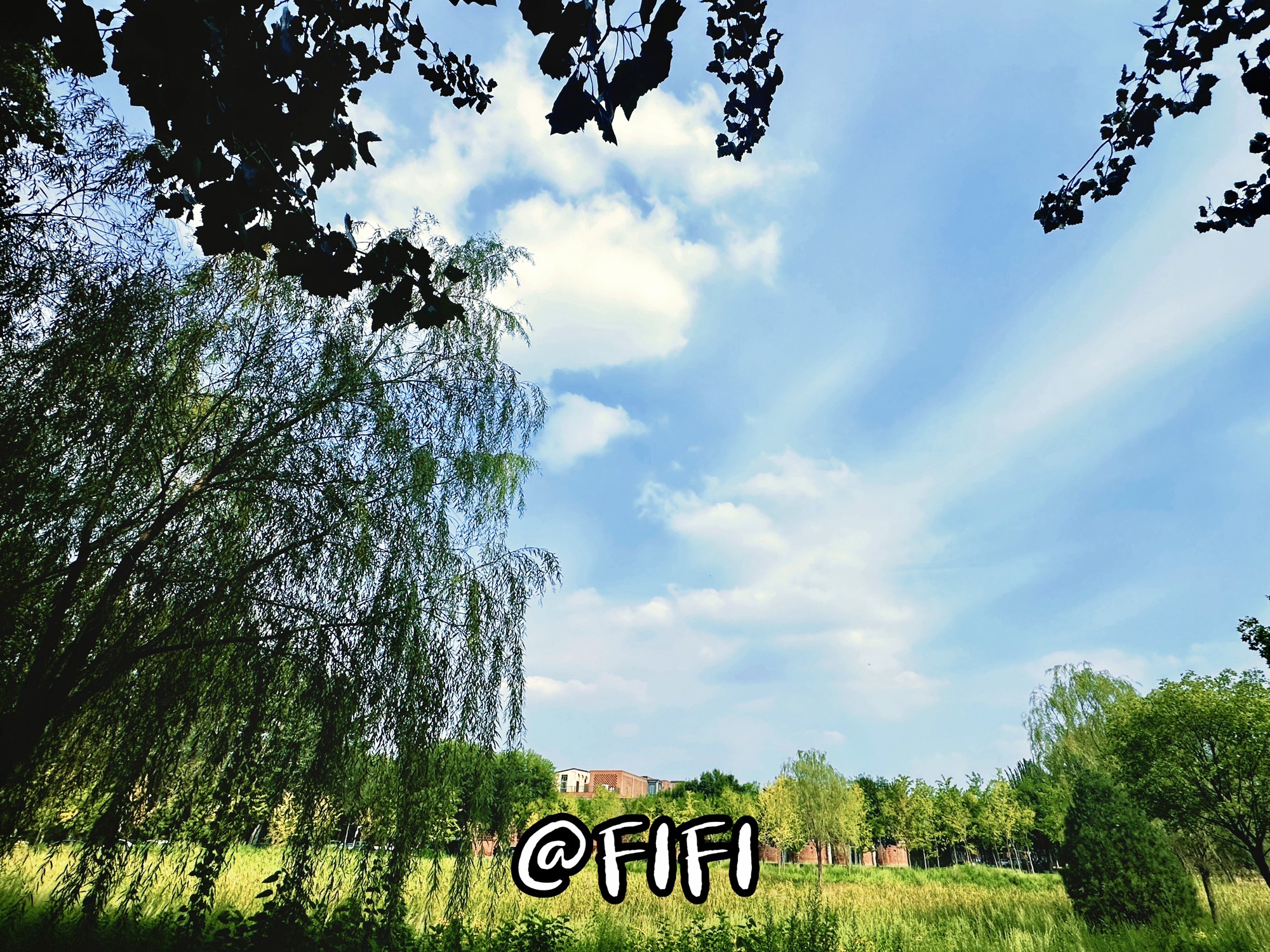 金福湿地公园旅行图片 3