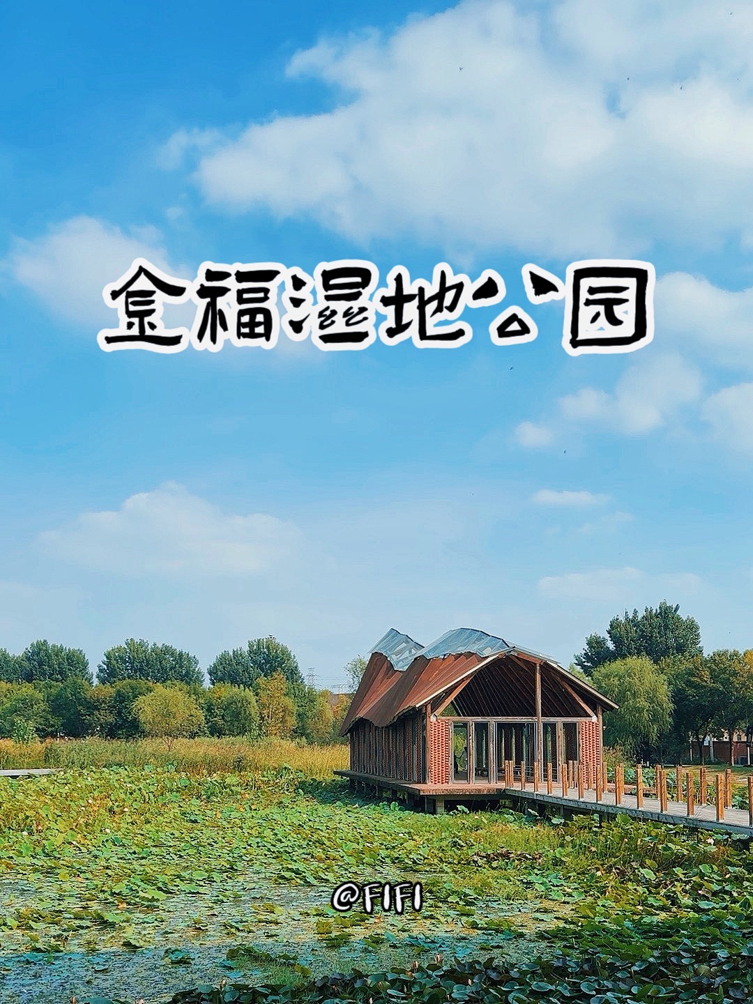 金福湿地公园旅行图片 1