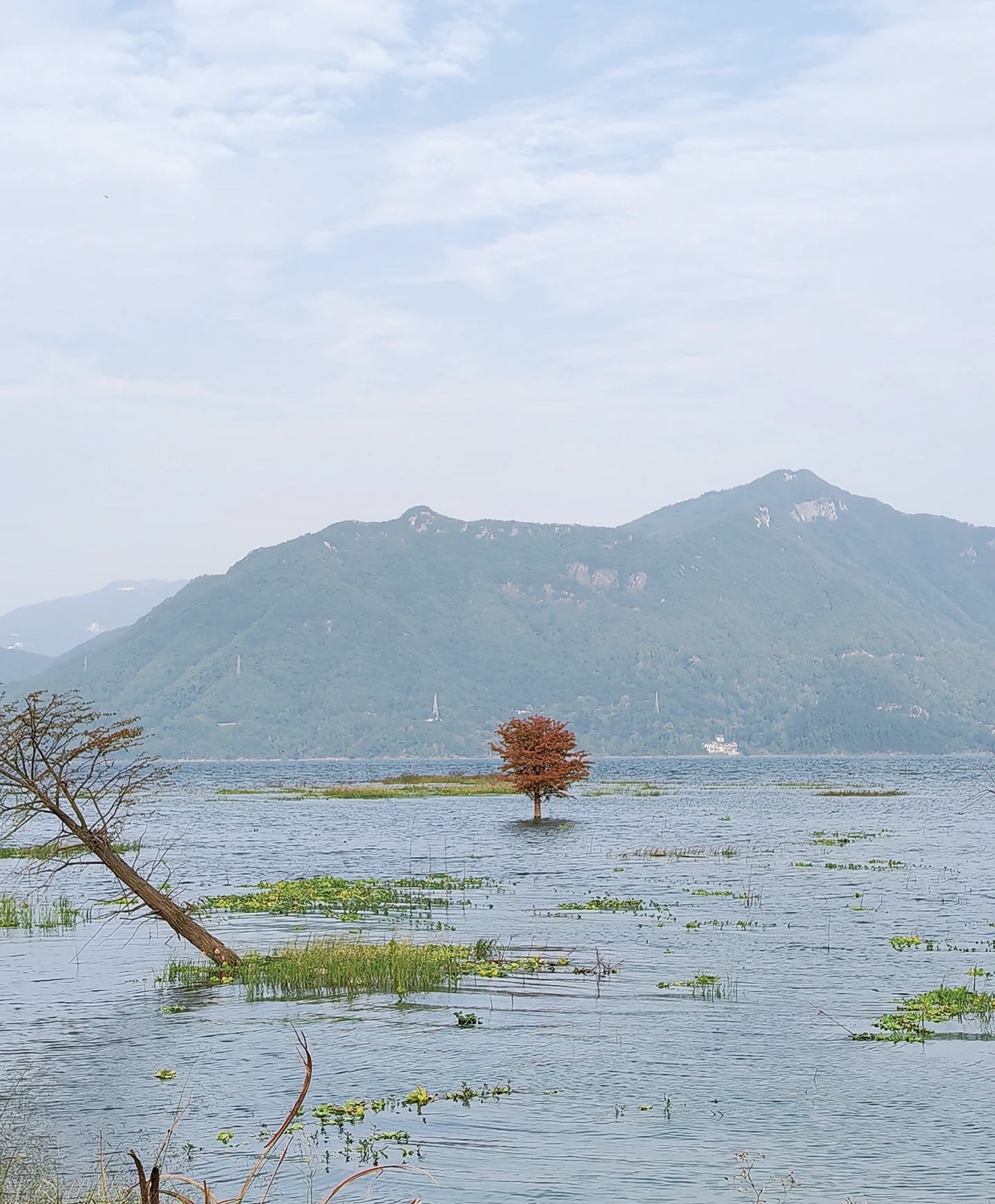 上垟乡白鹭湾湿地公园旅行图片 2