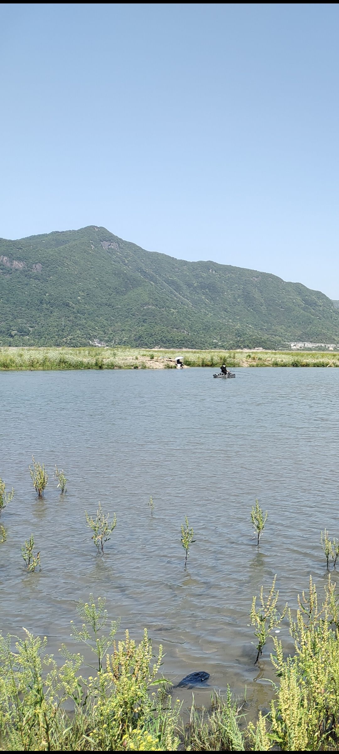 上垟乡白鹭湾湿地公园旅行图片 2