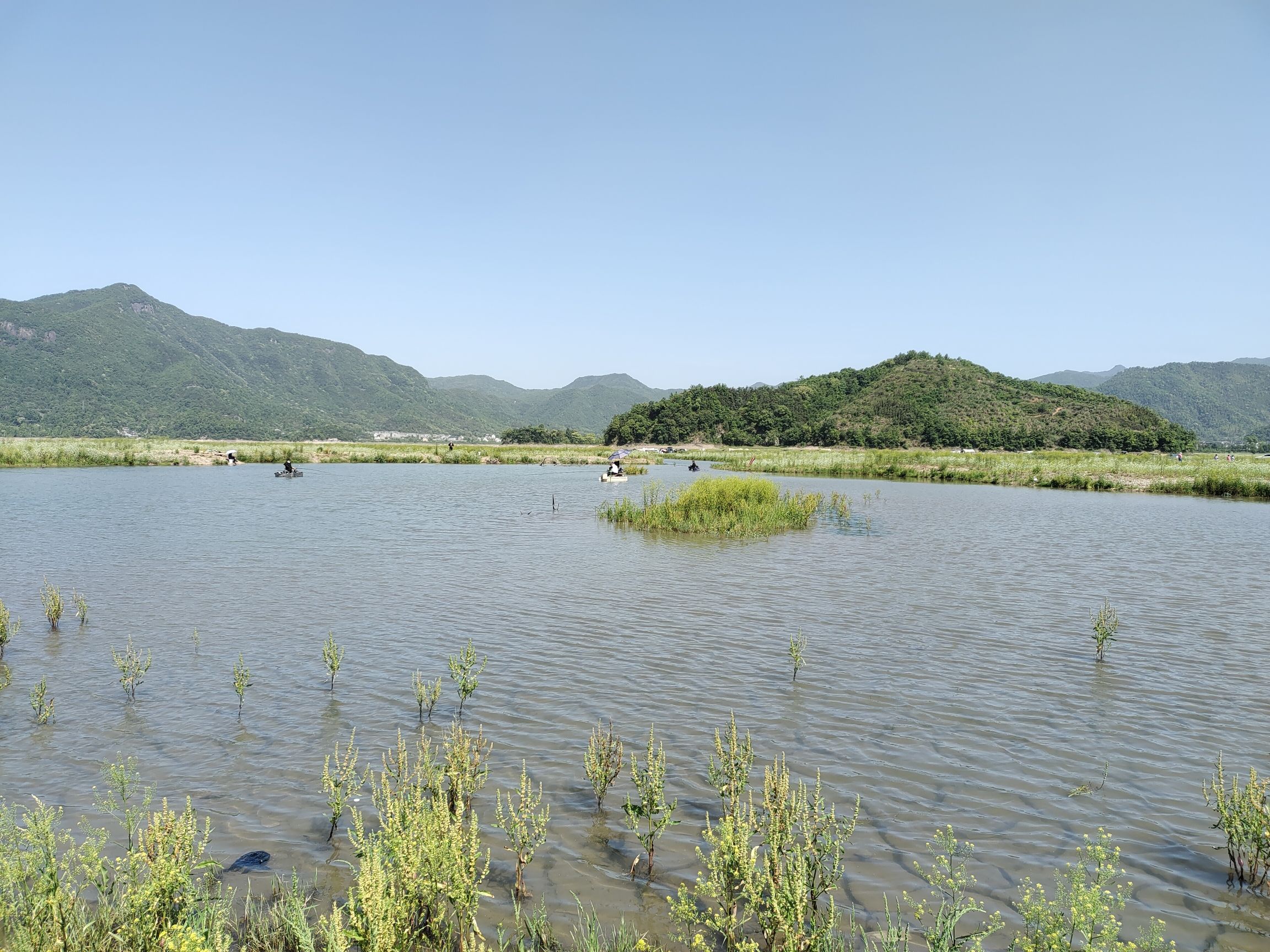 上垟乡白鹭湾湿地公园旅行图片 3