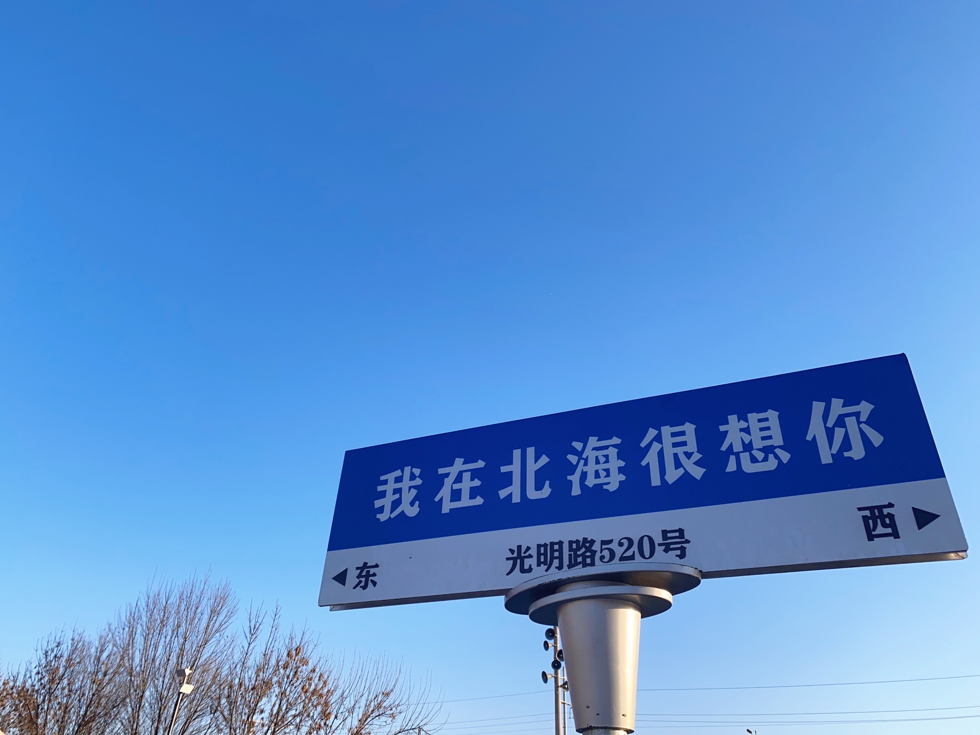 威县北海公园旅行图片 1