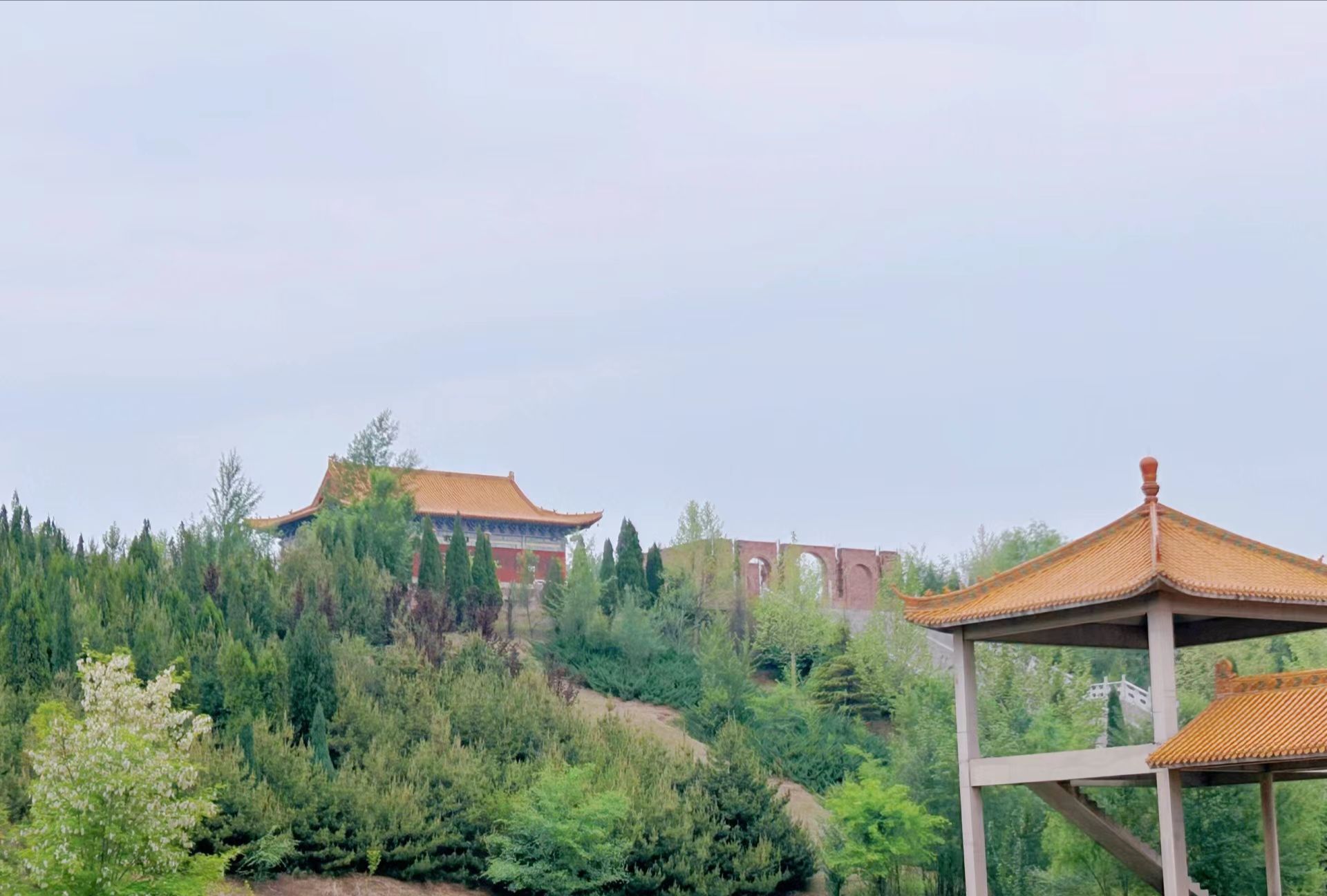 千亩坪公园旅行图片 2