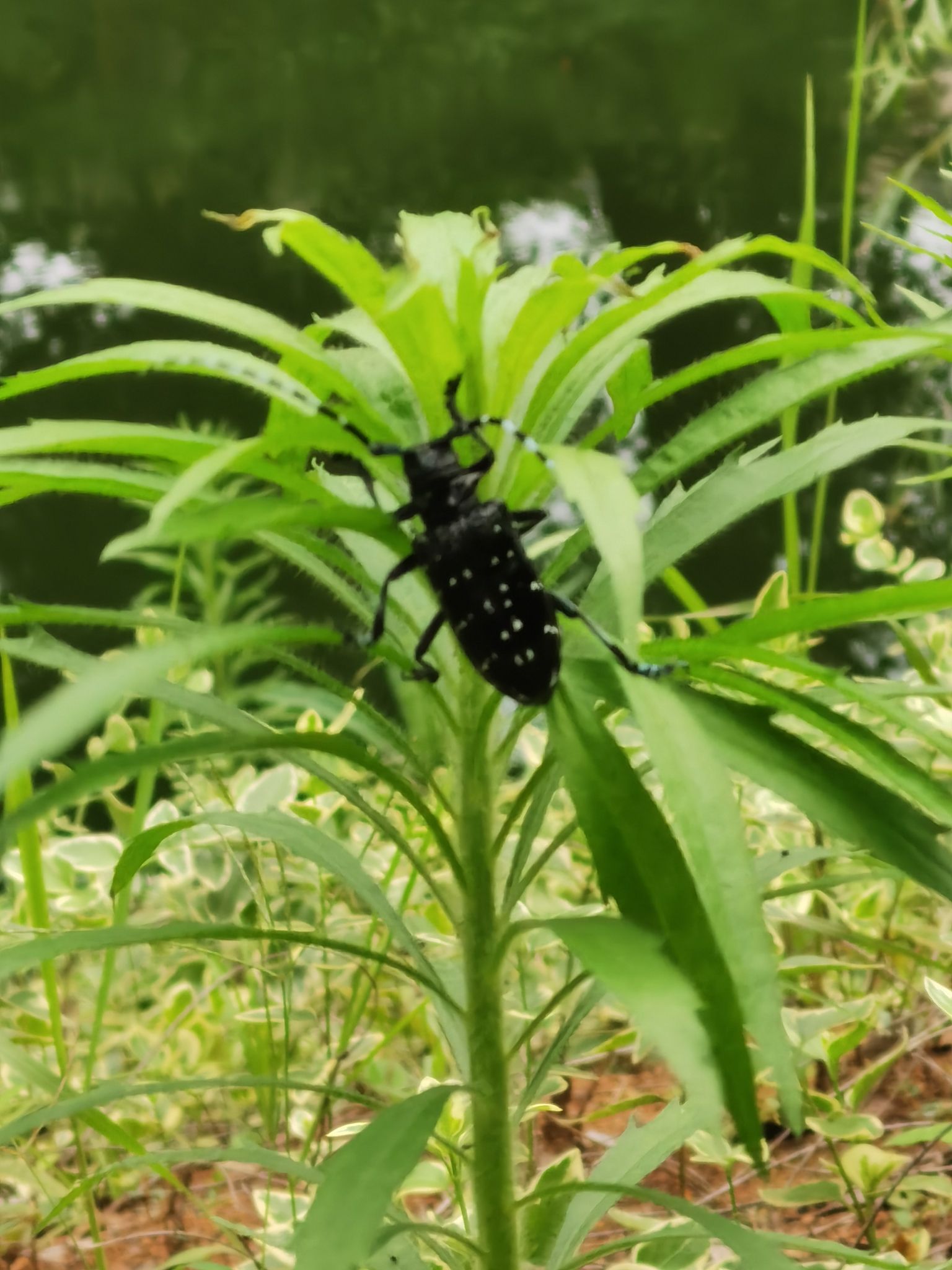 东阳木雕小镇旅行图片 1