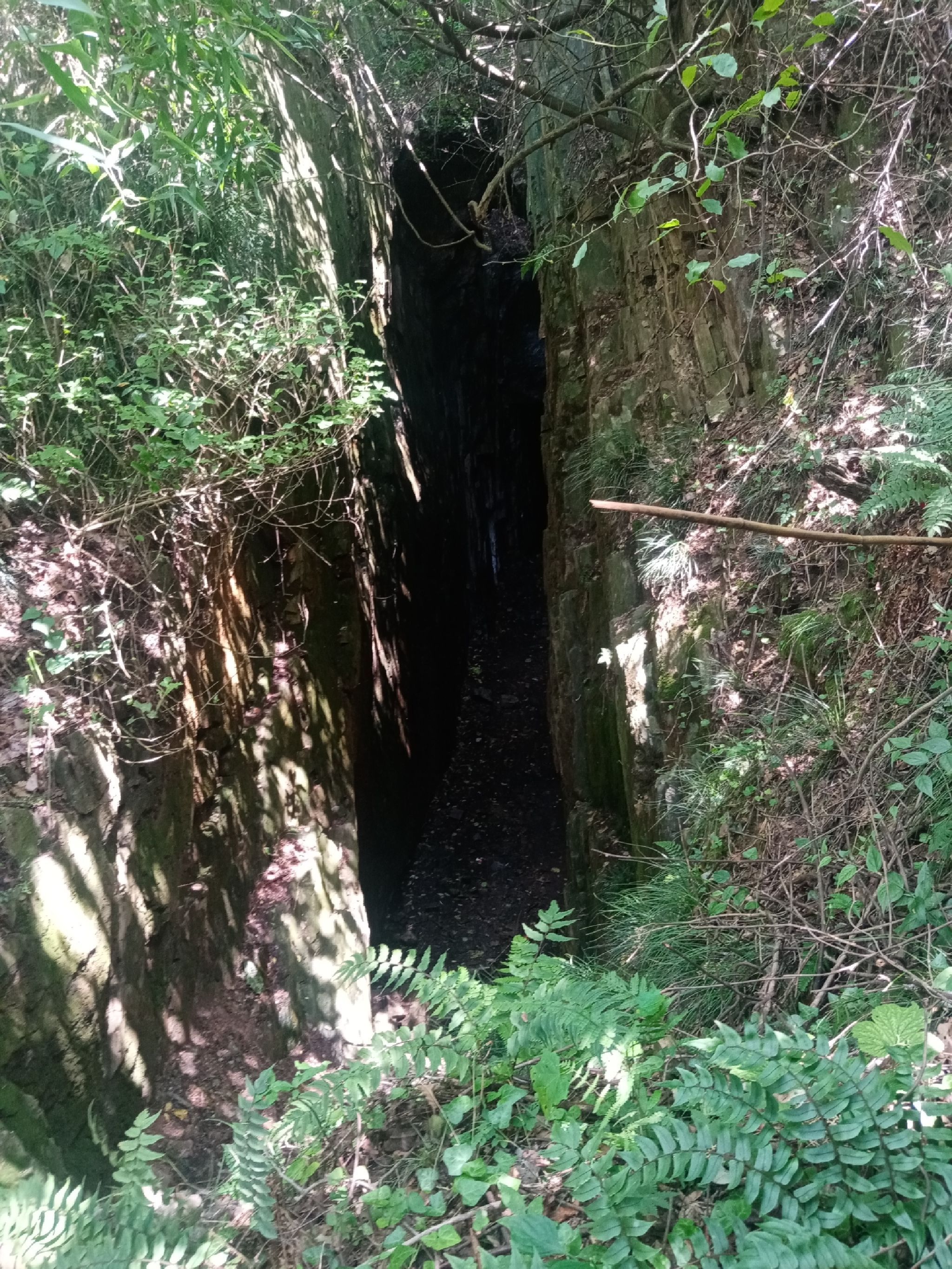 灵龙湖旅游区旅行图片 2