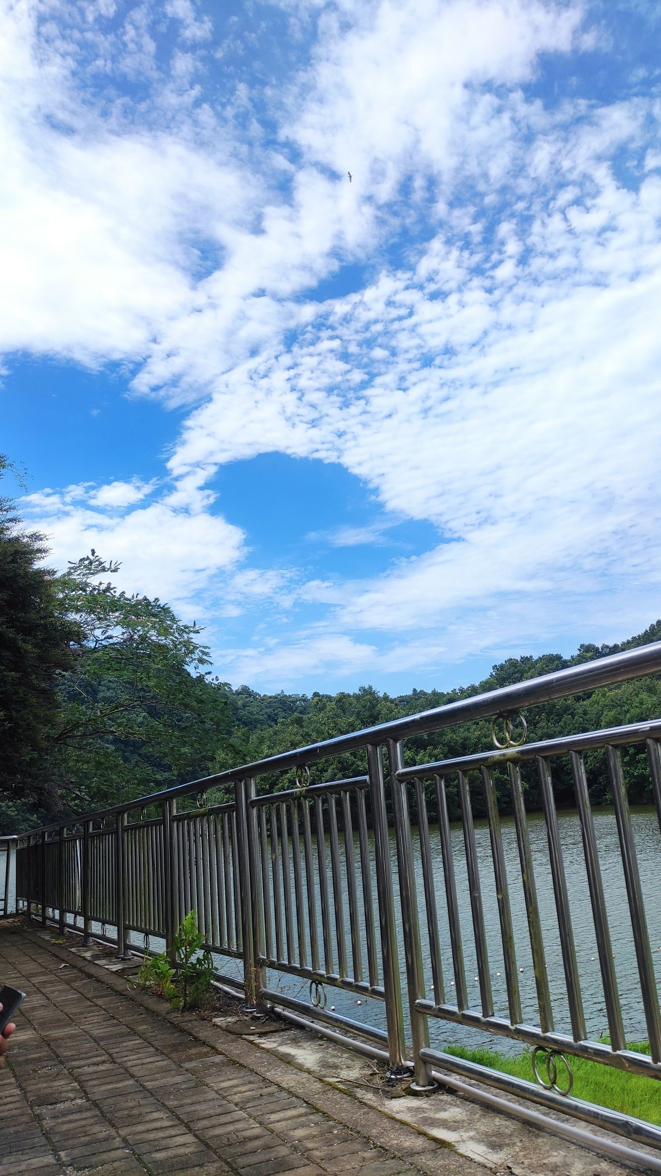 灵龙湖旅游区旅行图片 1