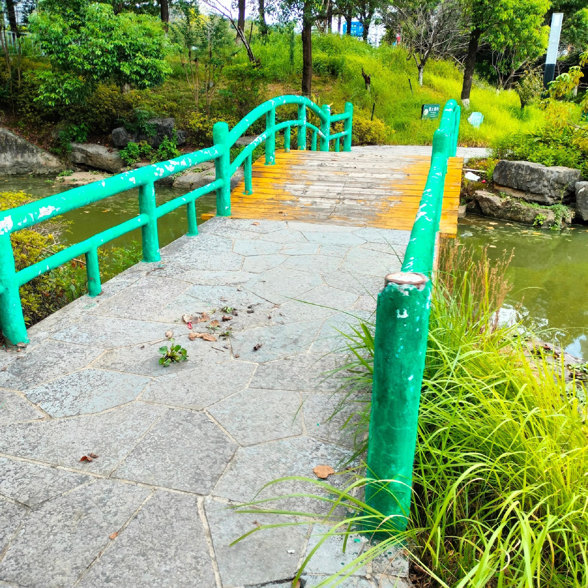 市民广场旅行图片 1