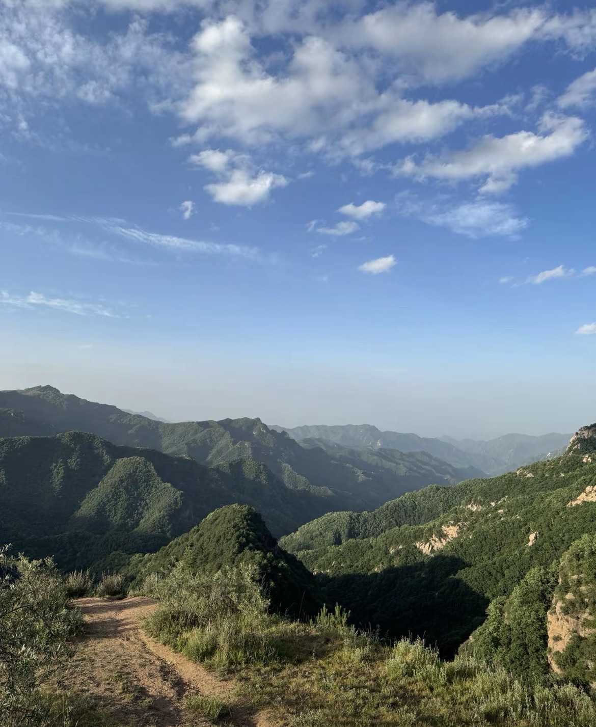 石家庄老虎头森林公园旅行图片 3