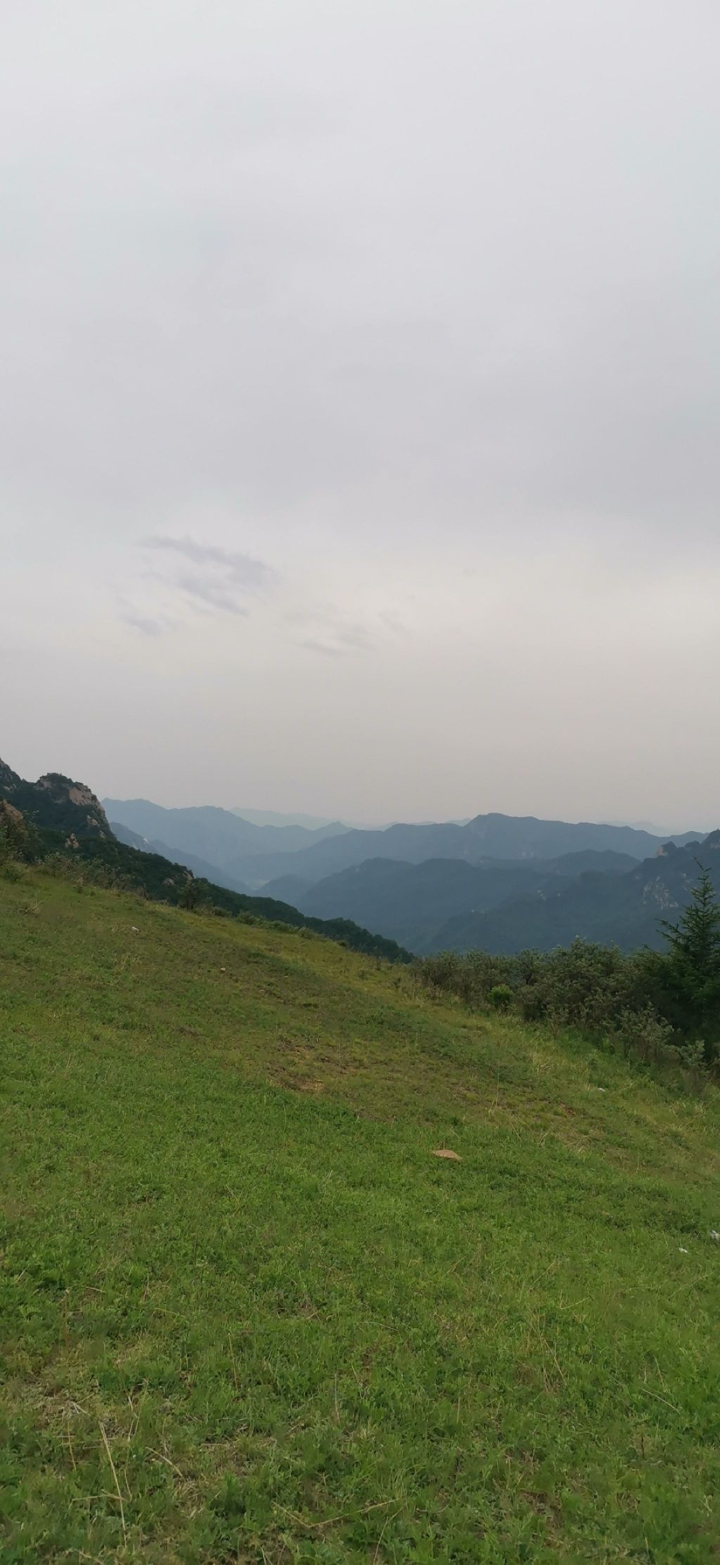 石家庄老虎头森林公园旅行图片 1