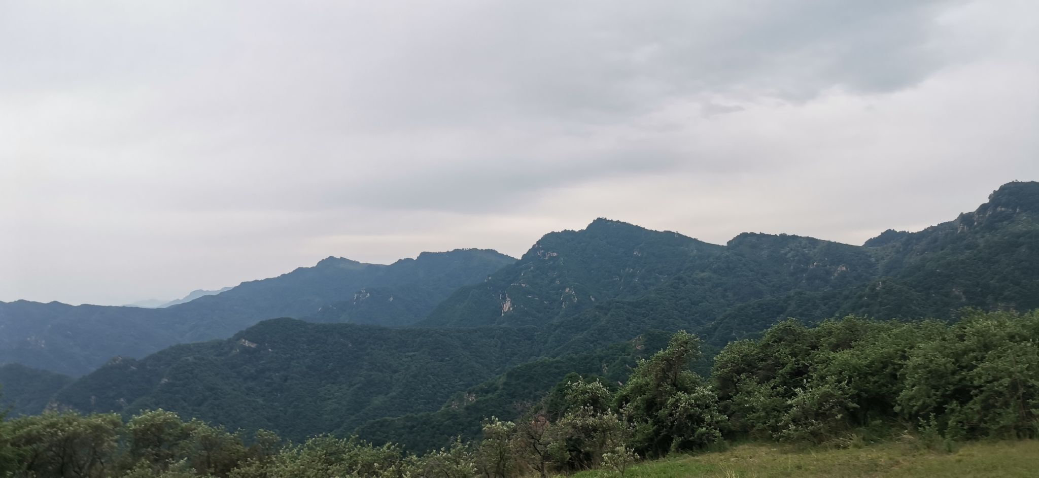 石家庄老虎头森林公园旅行图片 3