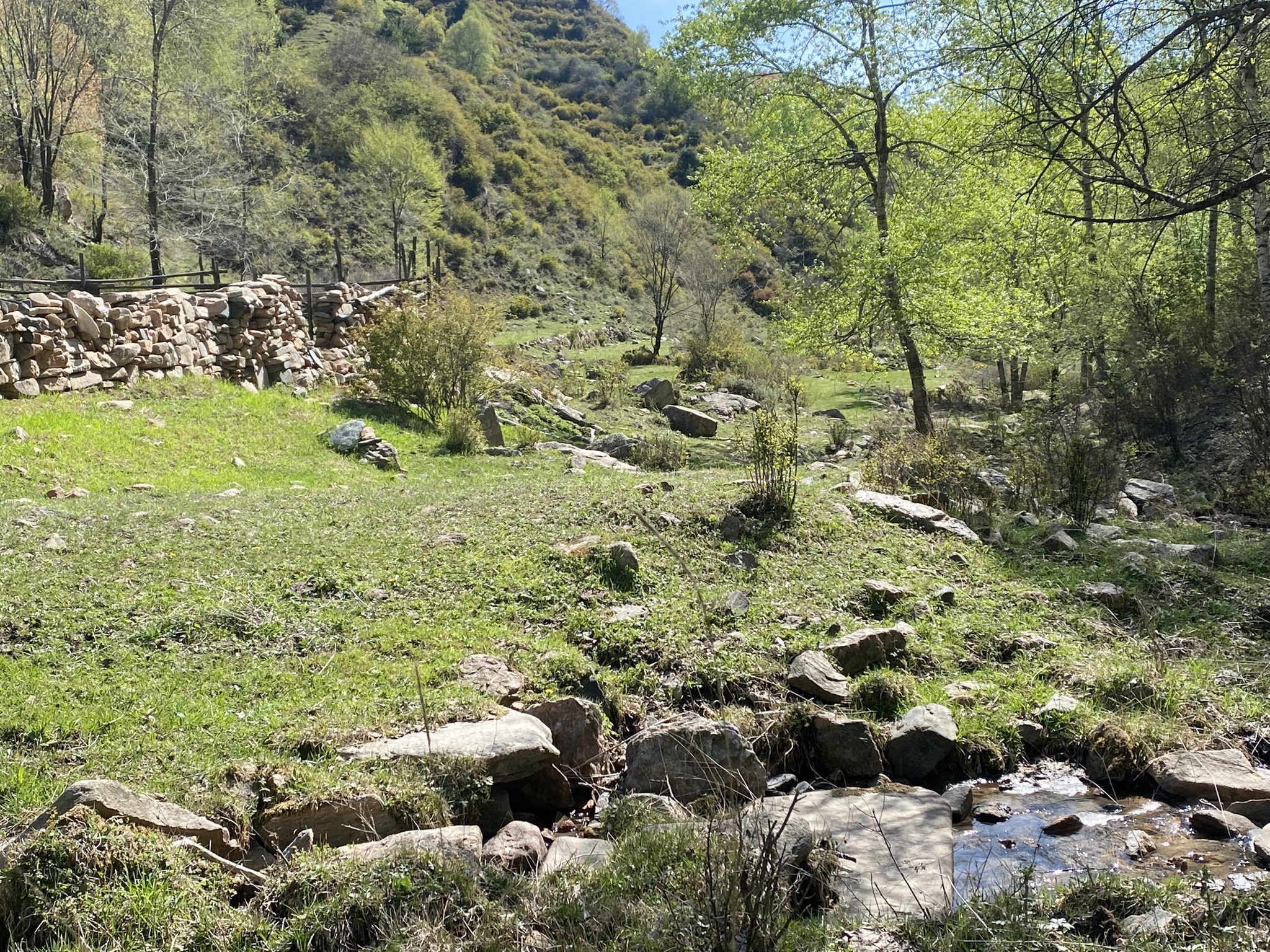 石家庄老虎头森林公园旅行图片 1