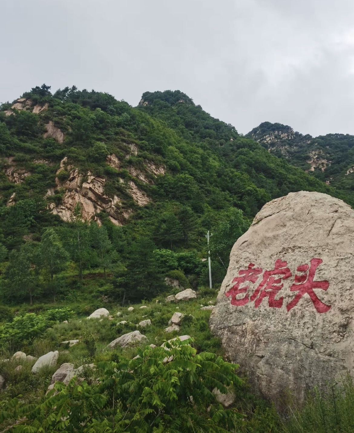 石家庄老虎头森林公园旅行图片 1