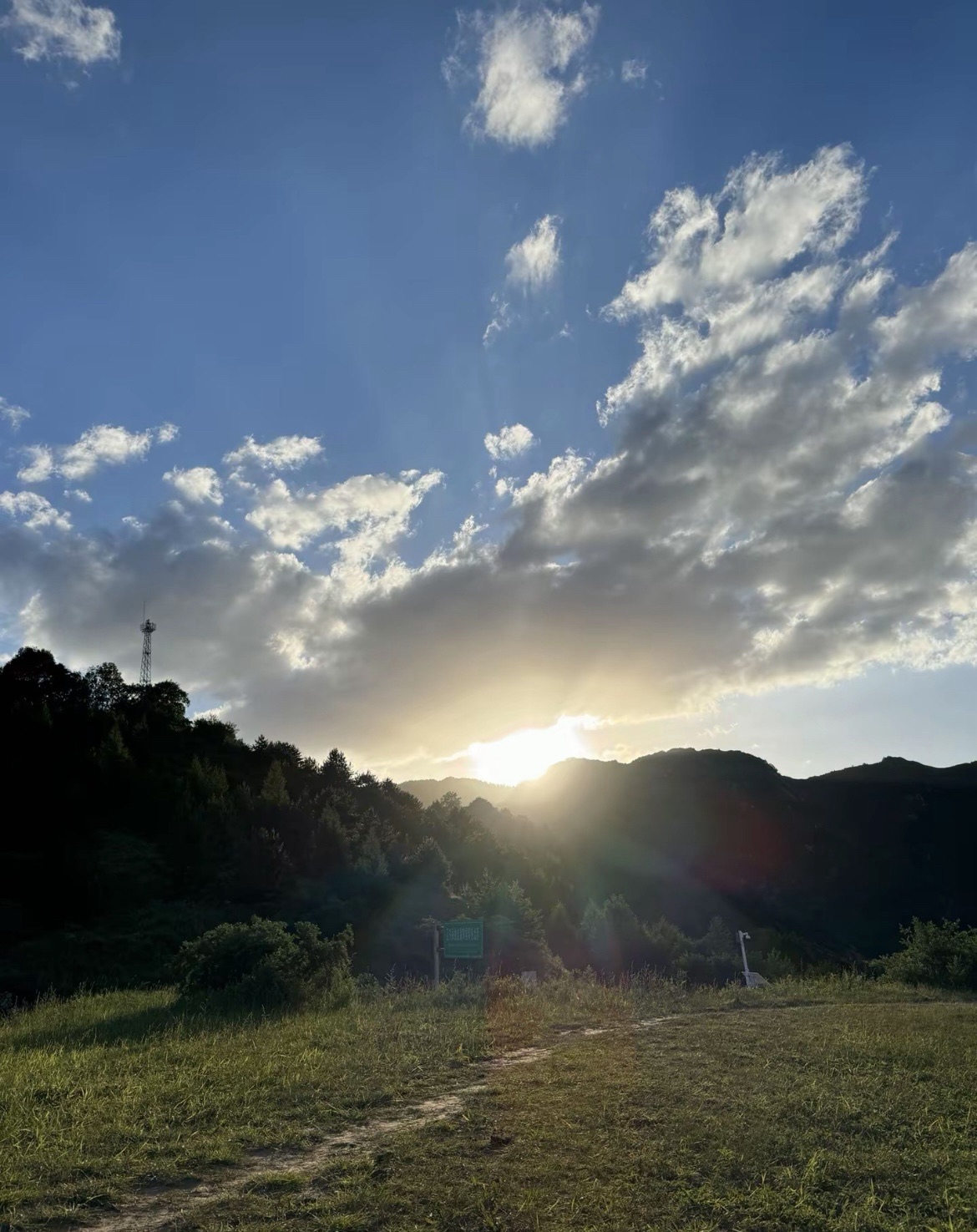 石家庄老虎头森林公园旅行图片 2