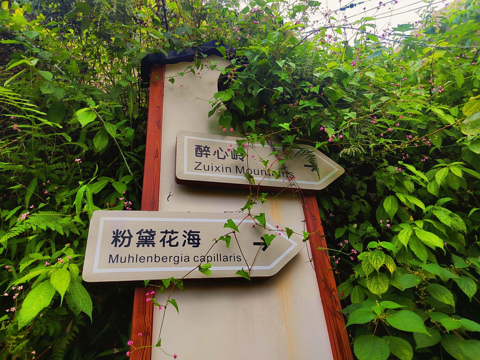 月宫山古道旅行图片 1