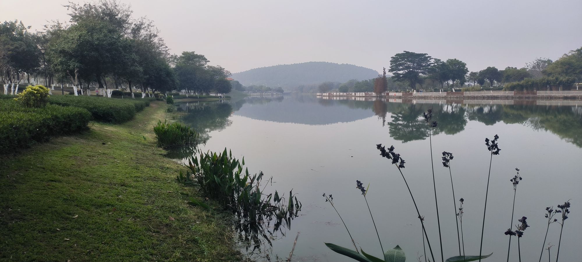 智湖公园旅行图片 1