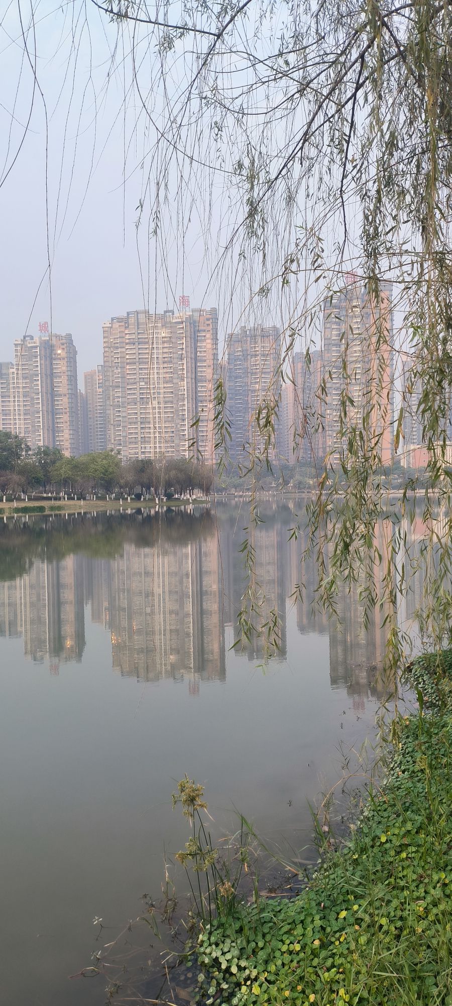 智湖公园旅行图片 3
