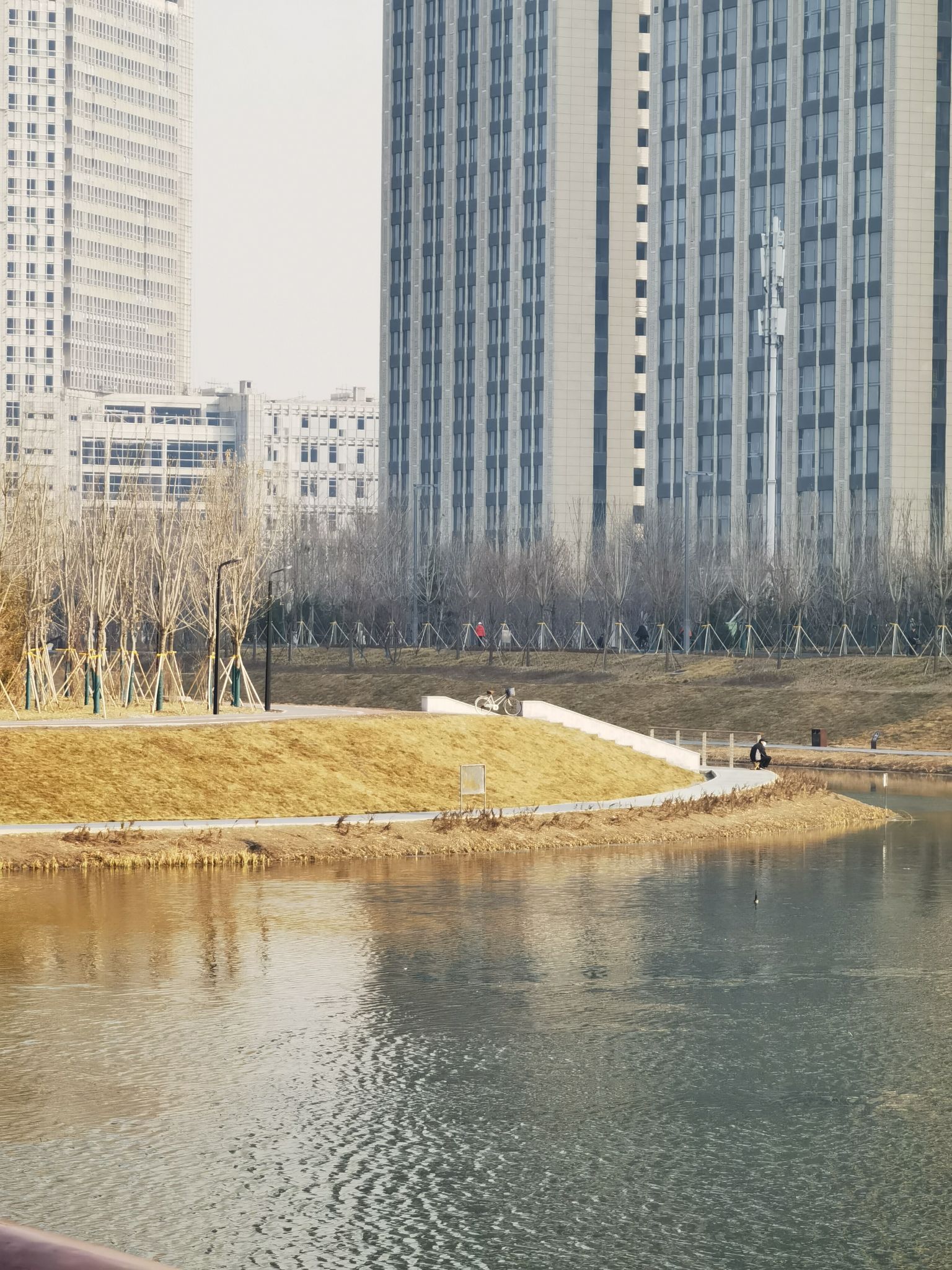 保定北湖公园旅行图片 3