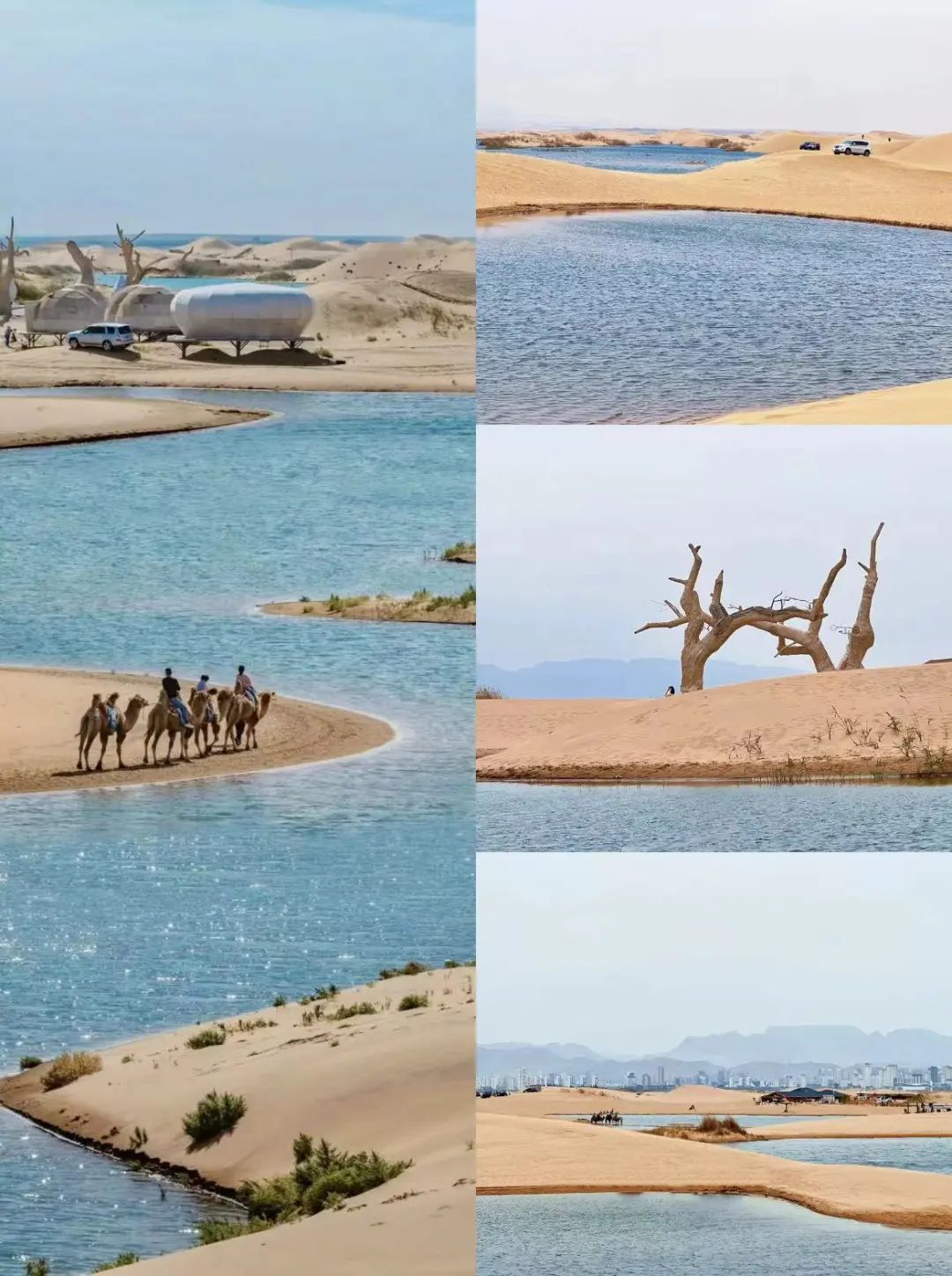 乌海湖休闲度假旅游区旅行图片 3