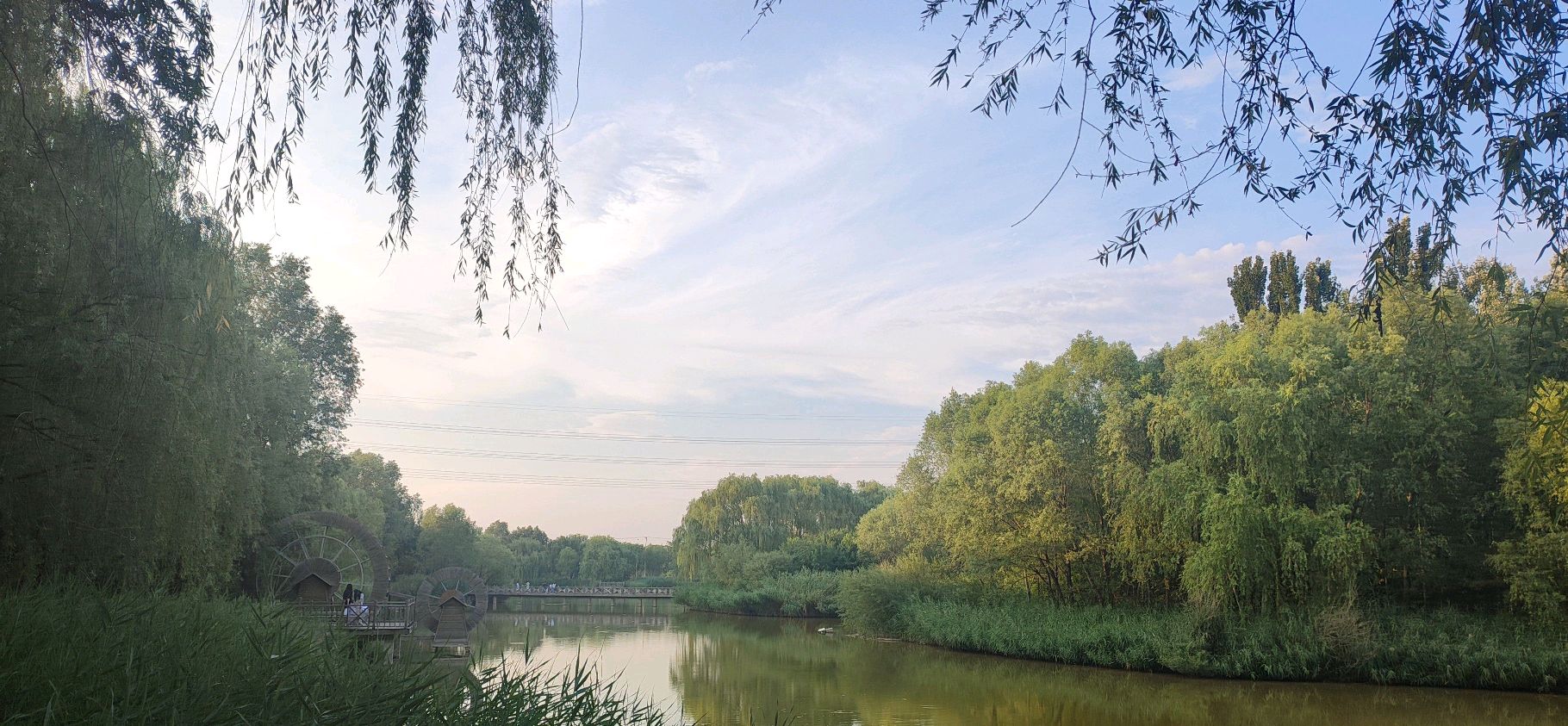 义乌市福田湿地公园旅行图片 1