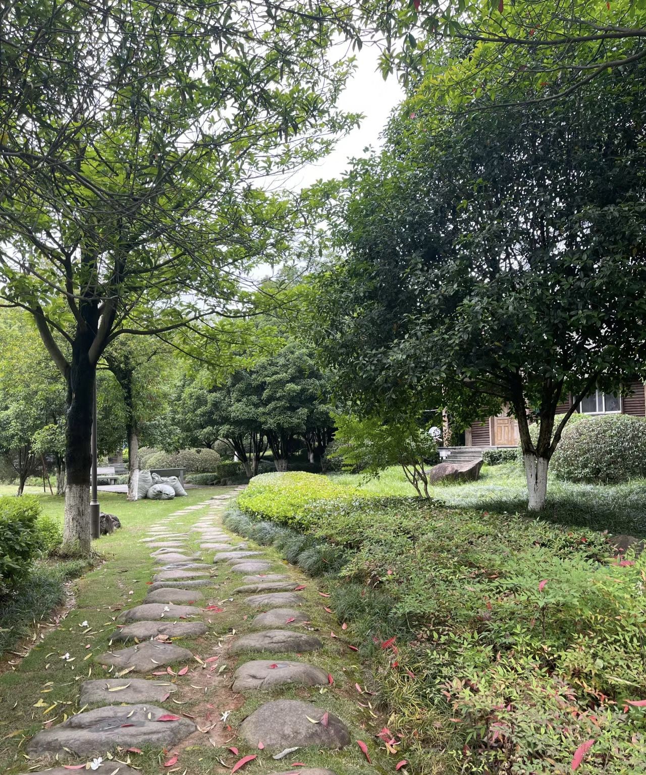 义乌市福田湿地公园旅行图片 3