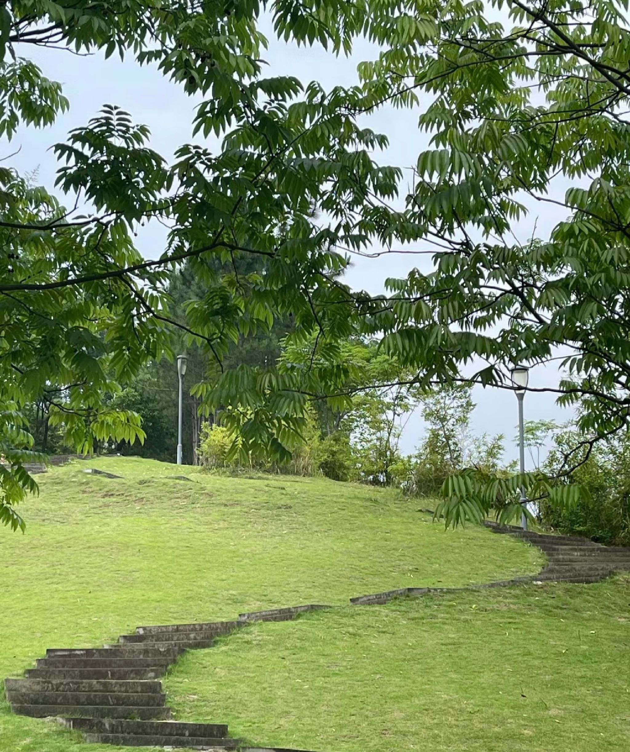 义乌市福田湿地公园旅行图片 1