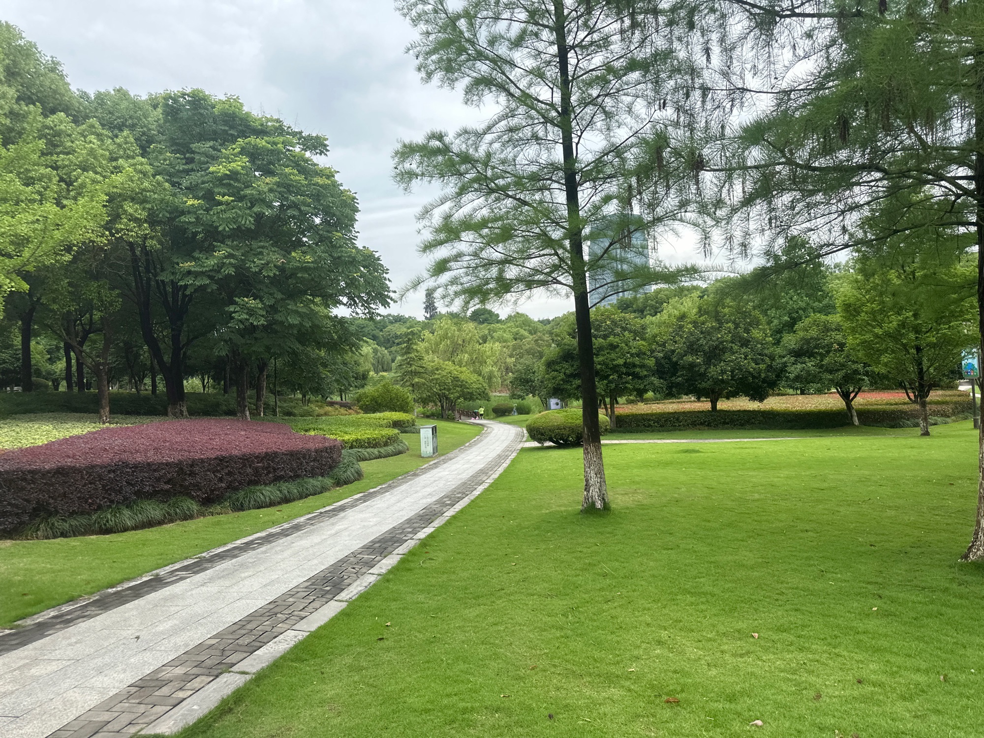 义乌市福田湿地公园旅行图片 2
