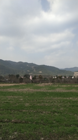 上江百花园旅行图片 1