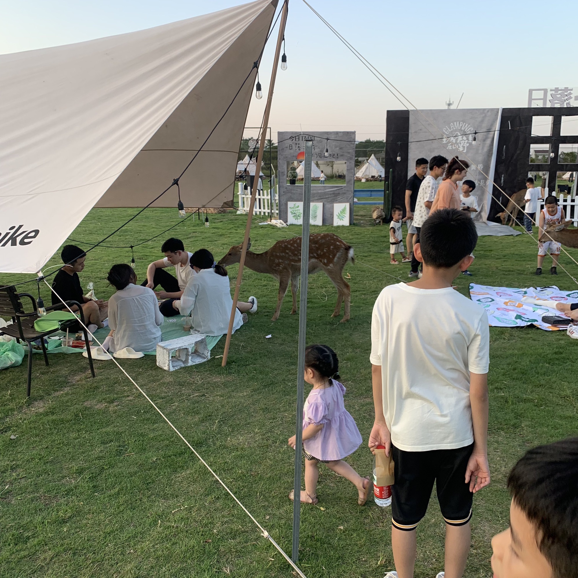 上江百花园旅行图片 3
