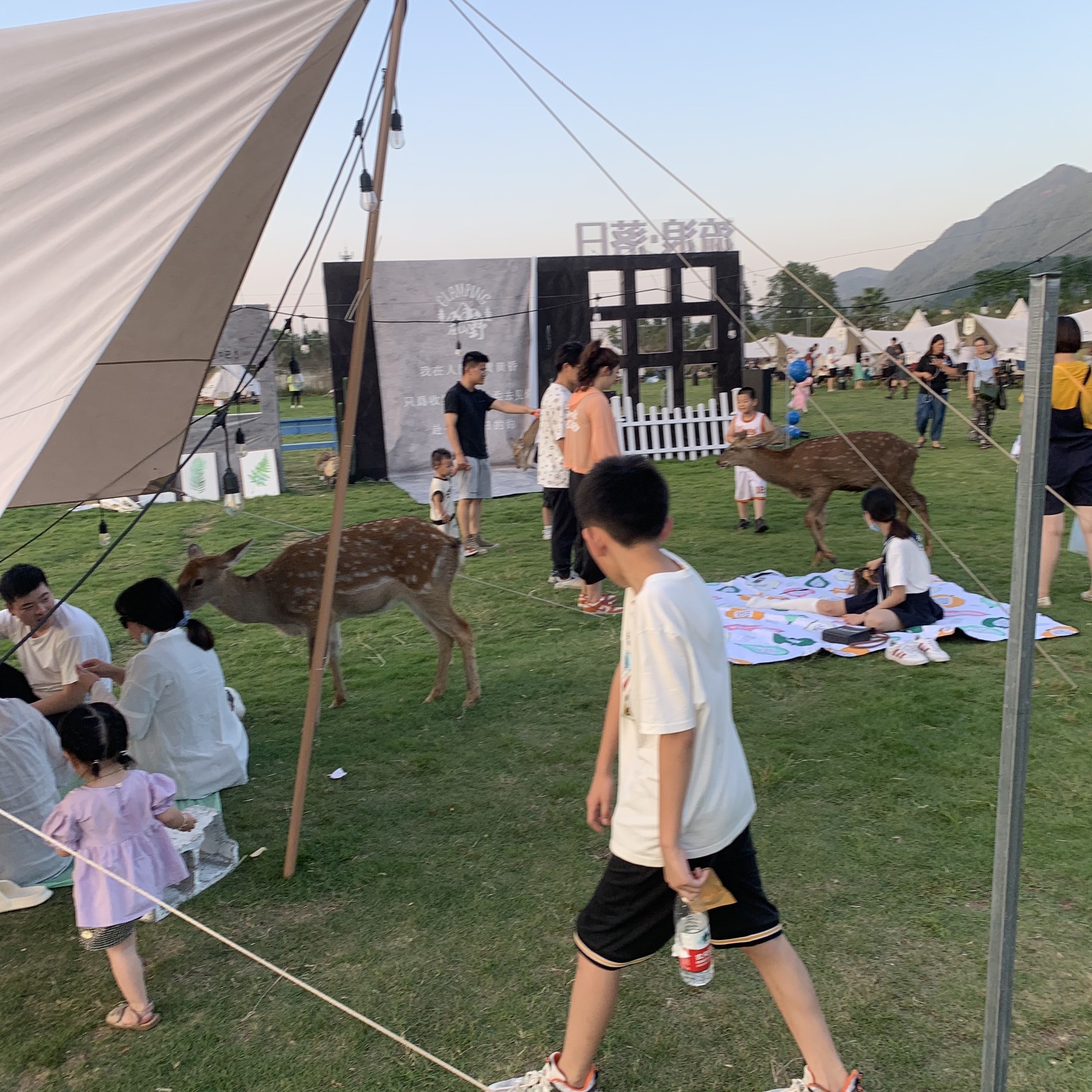 上江百花园旅行图片 2