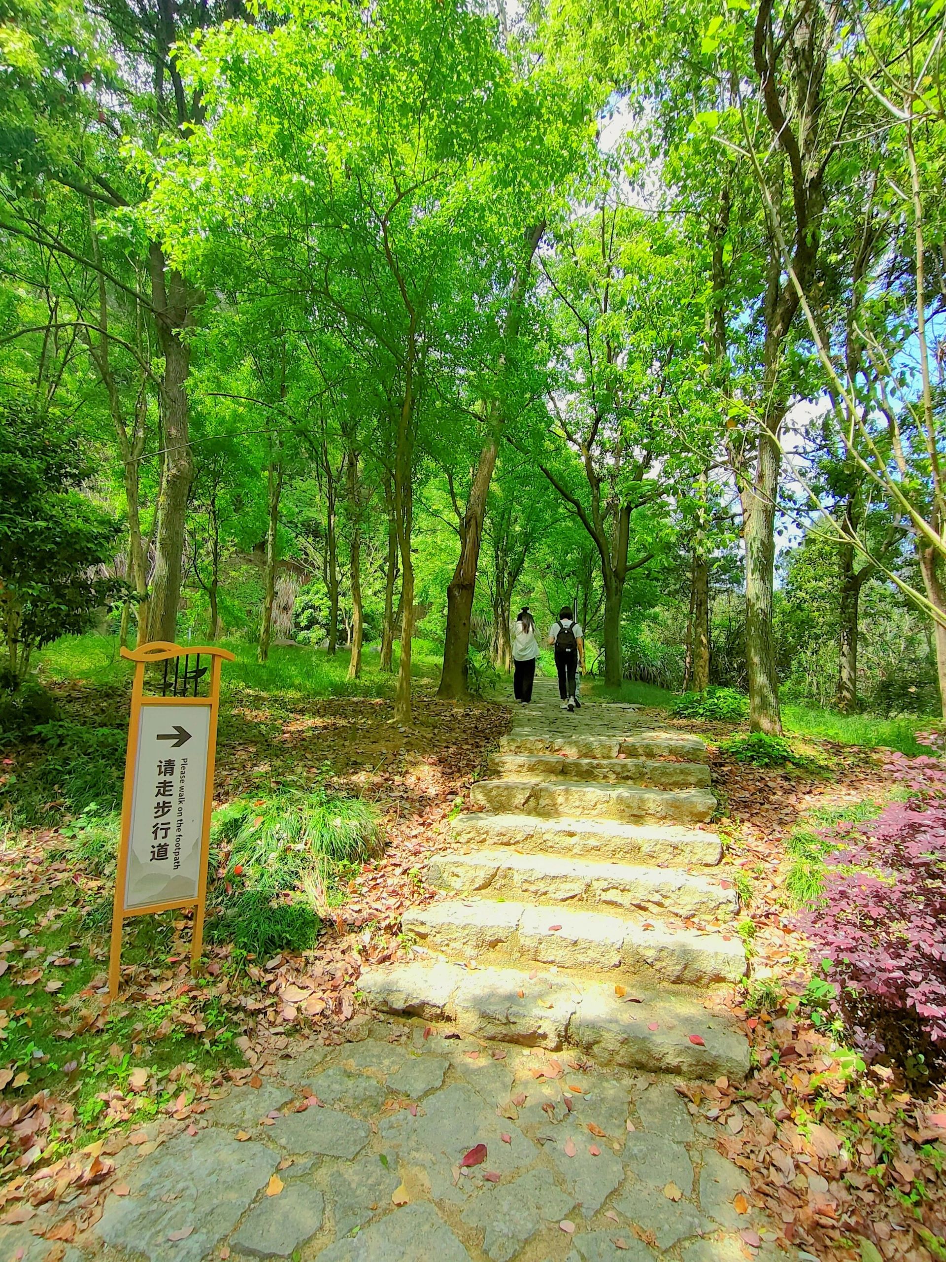明珠观光公园旅行图片 3