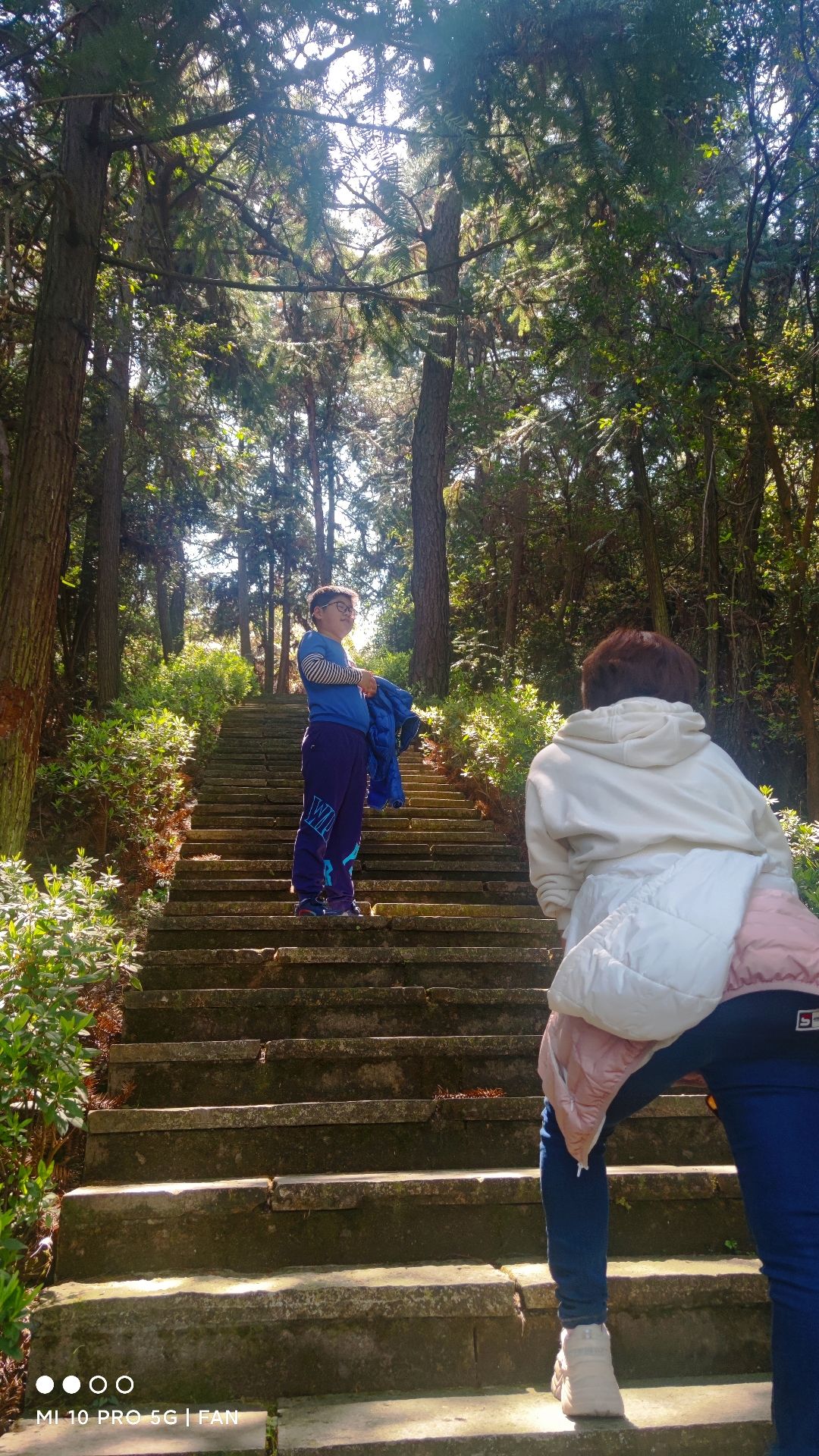 明珠观光公园旅行图片 2