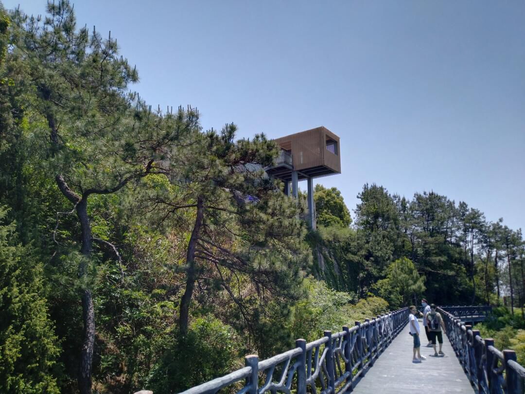 明珠观光公园旅行图片 2