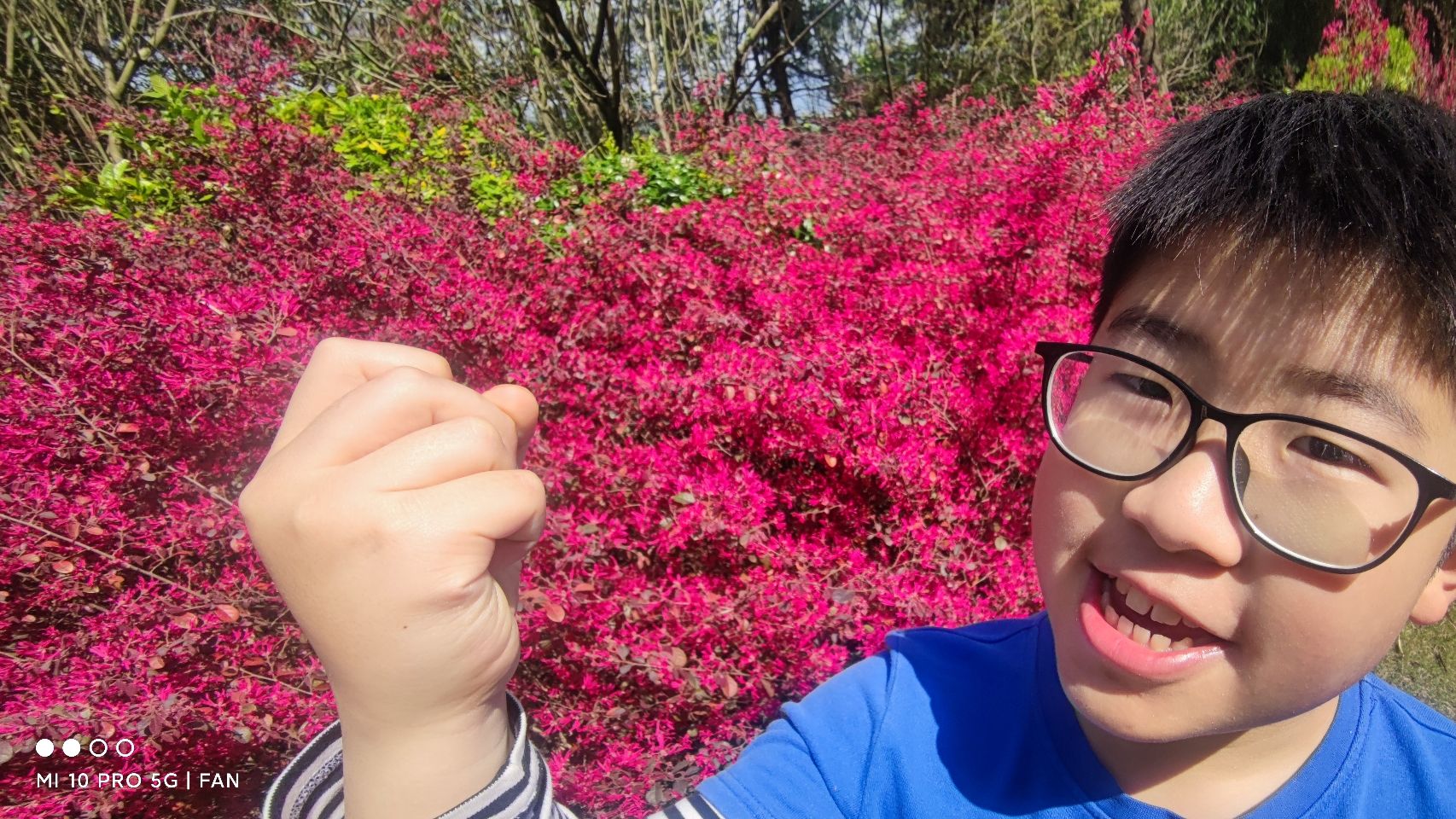 明珠观光公园旅行图片 1