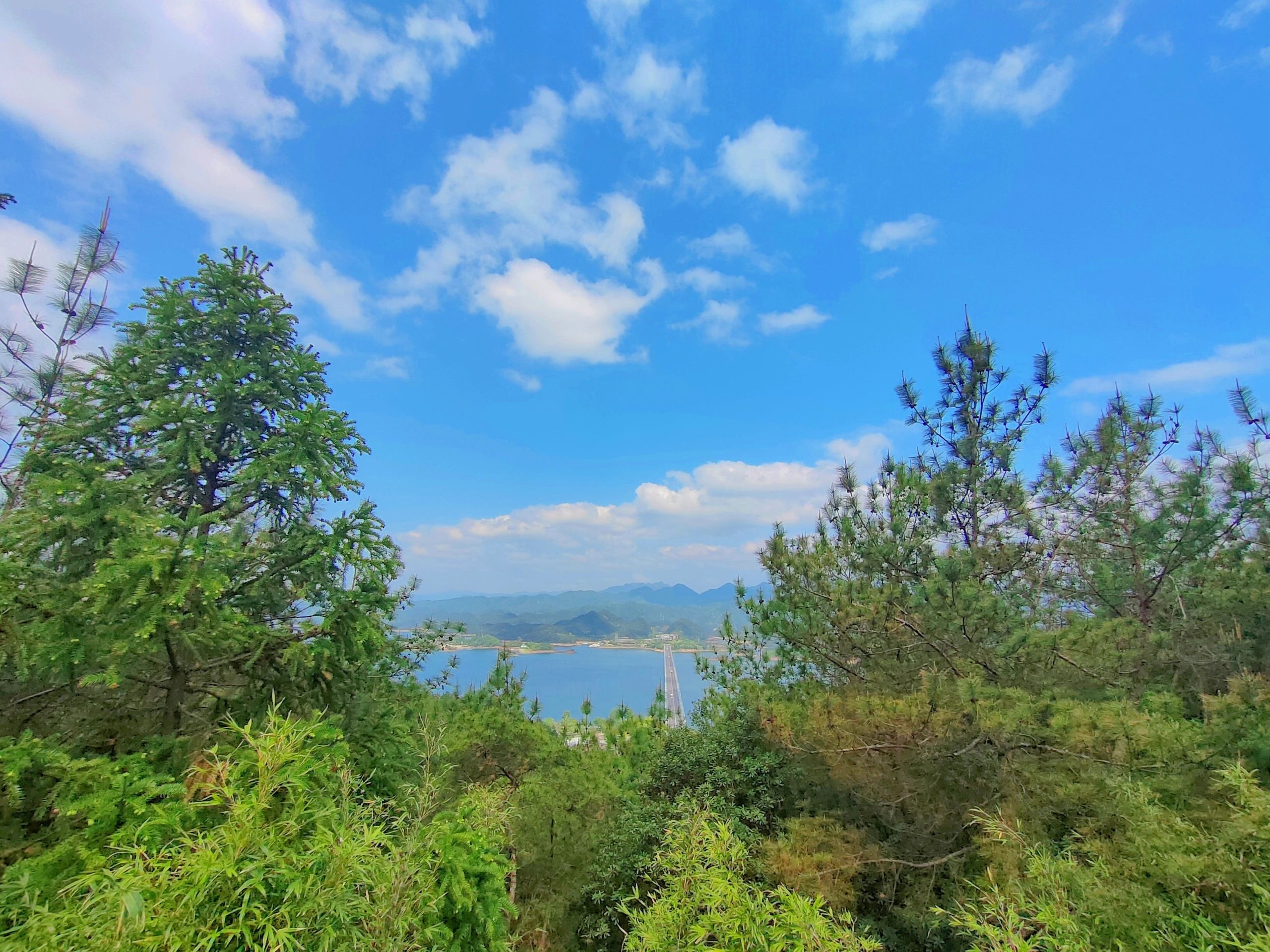 明珠观光公园旅行图片 2