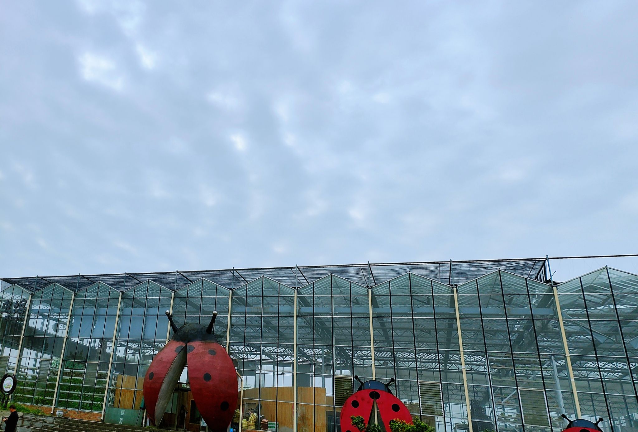 喜观昆虫王国旅行图片 2