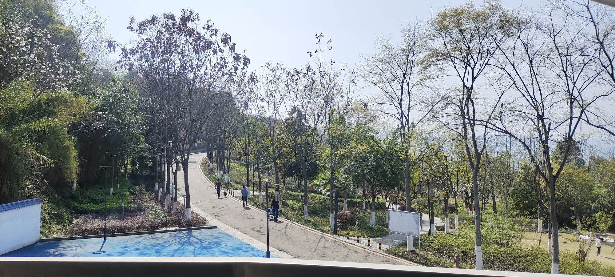 江南新区南山公园旅行图片 2