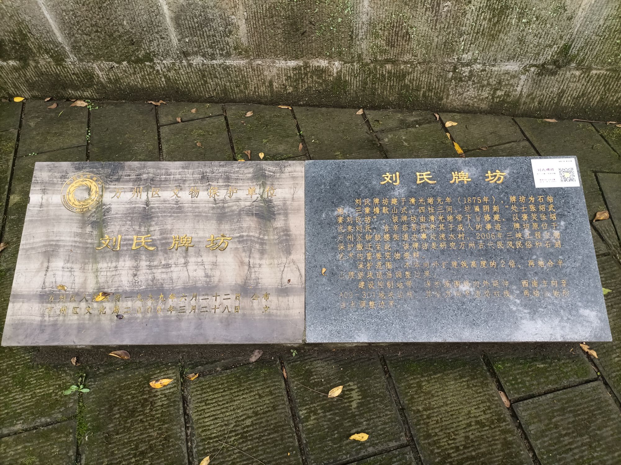 江南新区南山公园旅行图片 3
