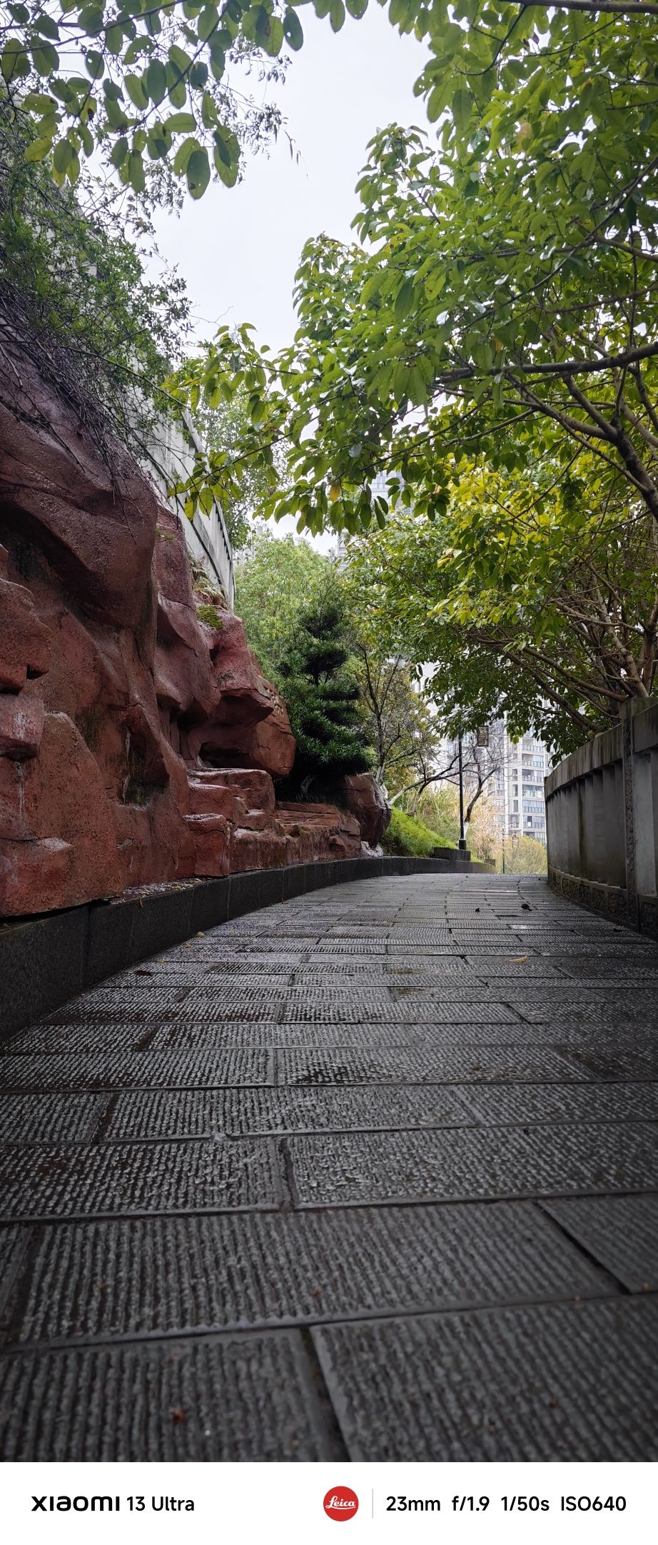 江南新区南山公园旅行图片 3