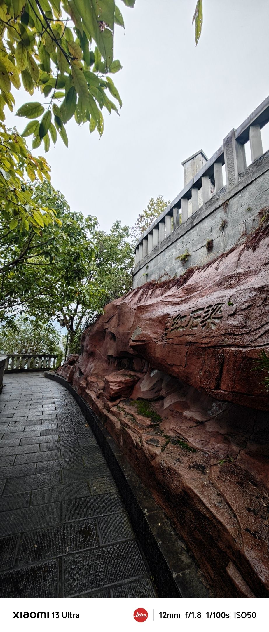 江南新区南山公园旅行图片 1