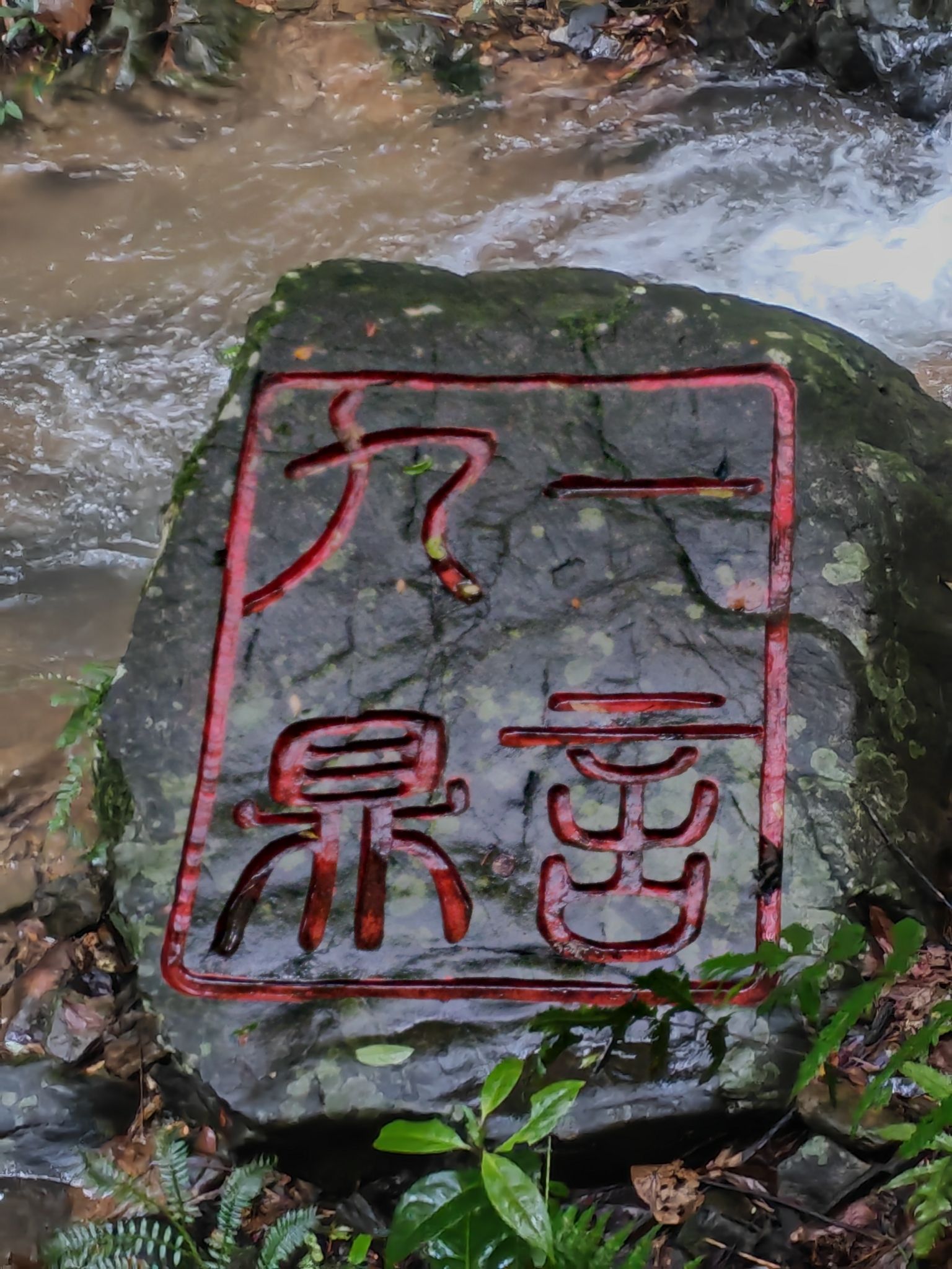 双龙沟原始森林景区旅行图片 1