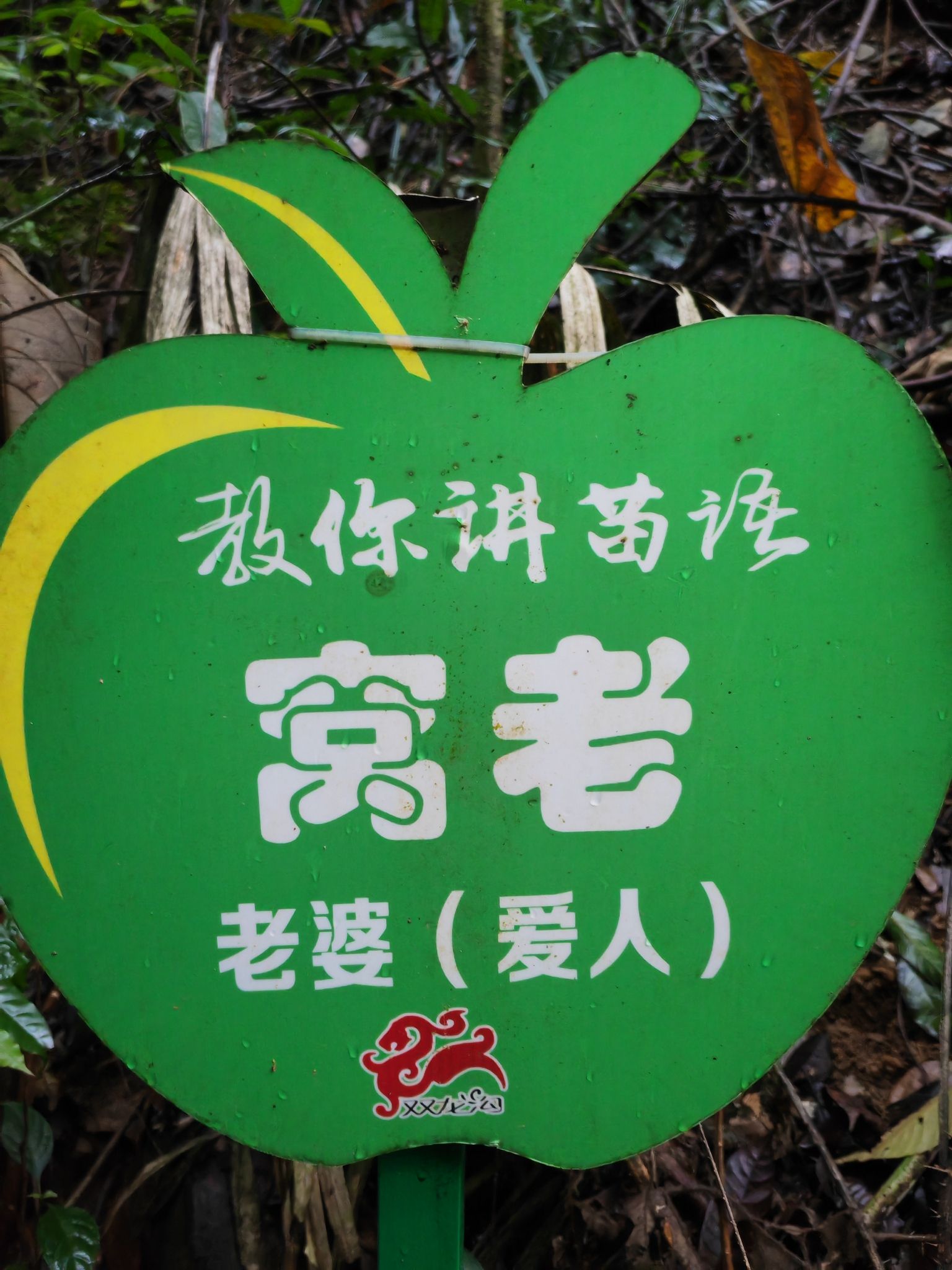 双龙沟原始森林景区旅行图片 3