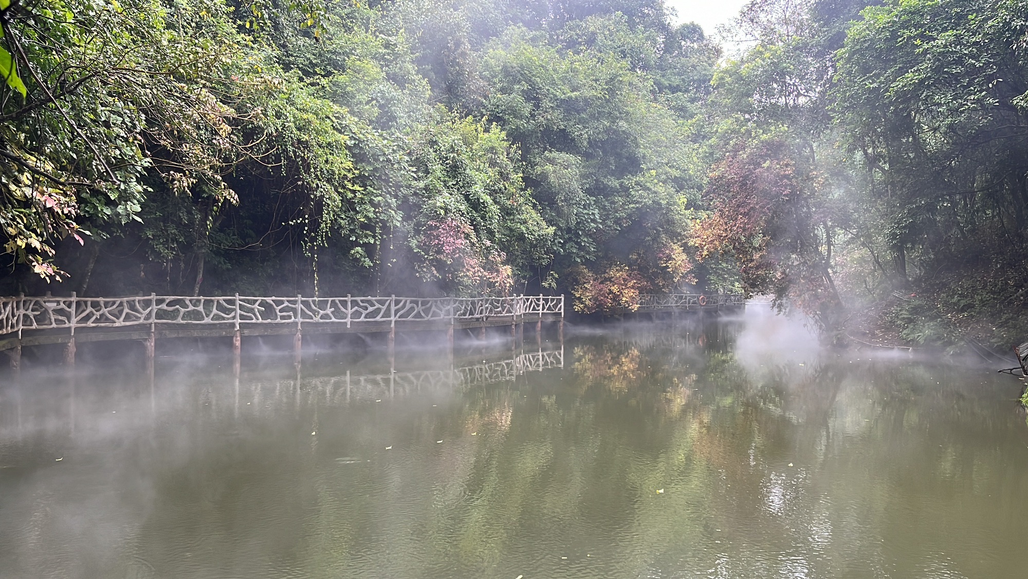 双龙沟原始森林景区旅行图片 3
